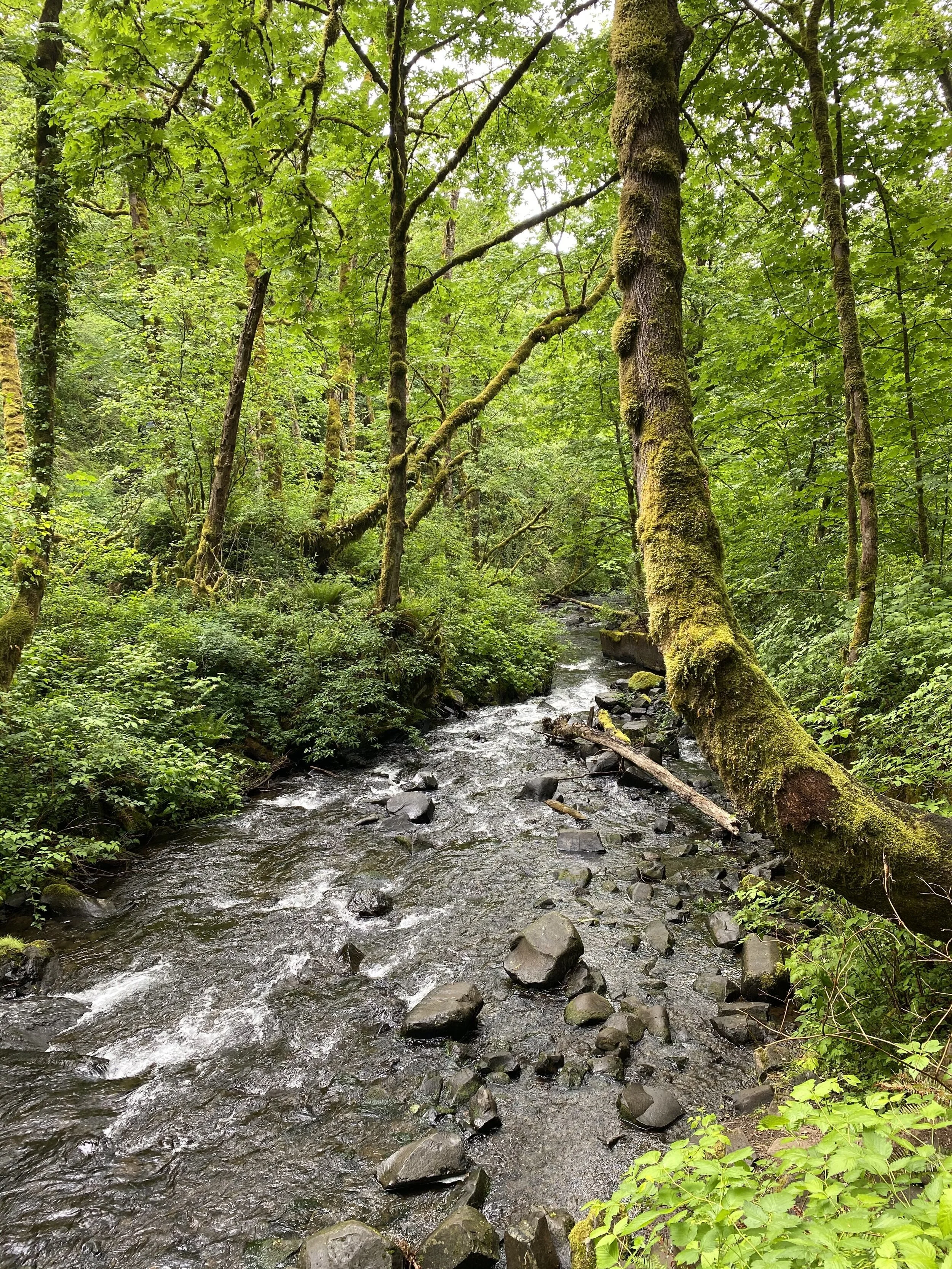 image_67237889.JPG