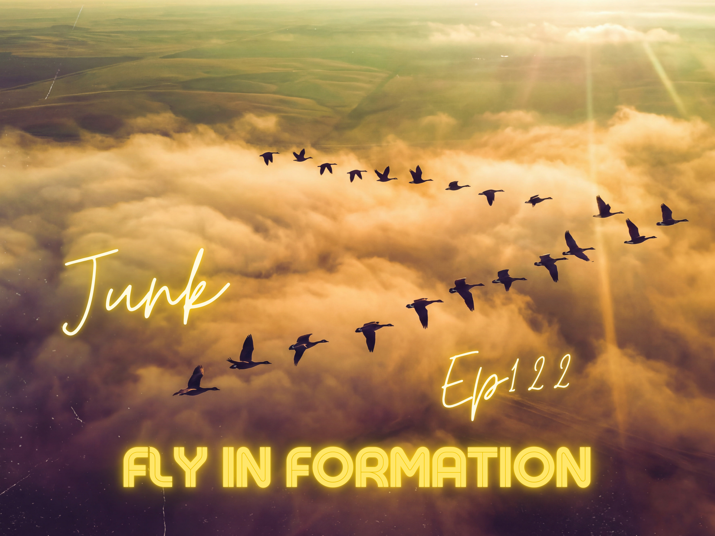 Fly In Formation 122 - Junk