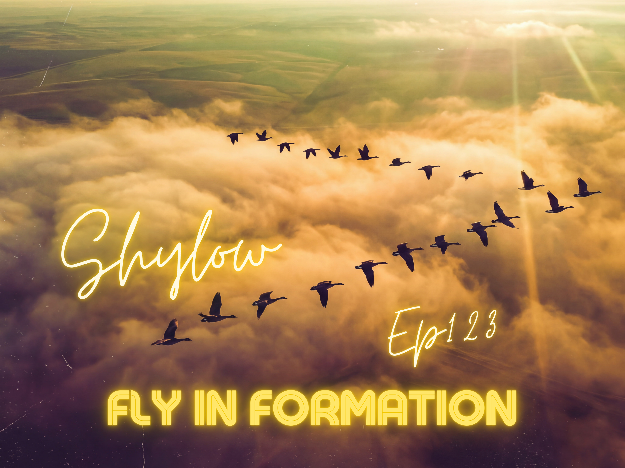 Fly In Formation 123 - Shylow
