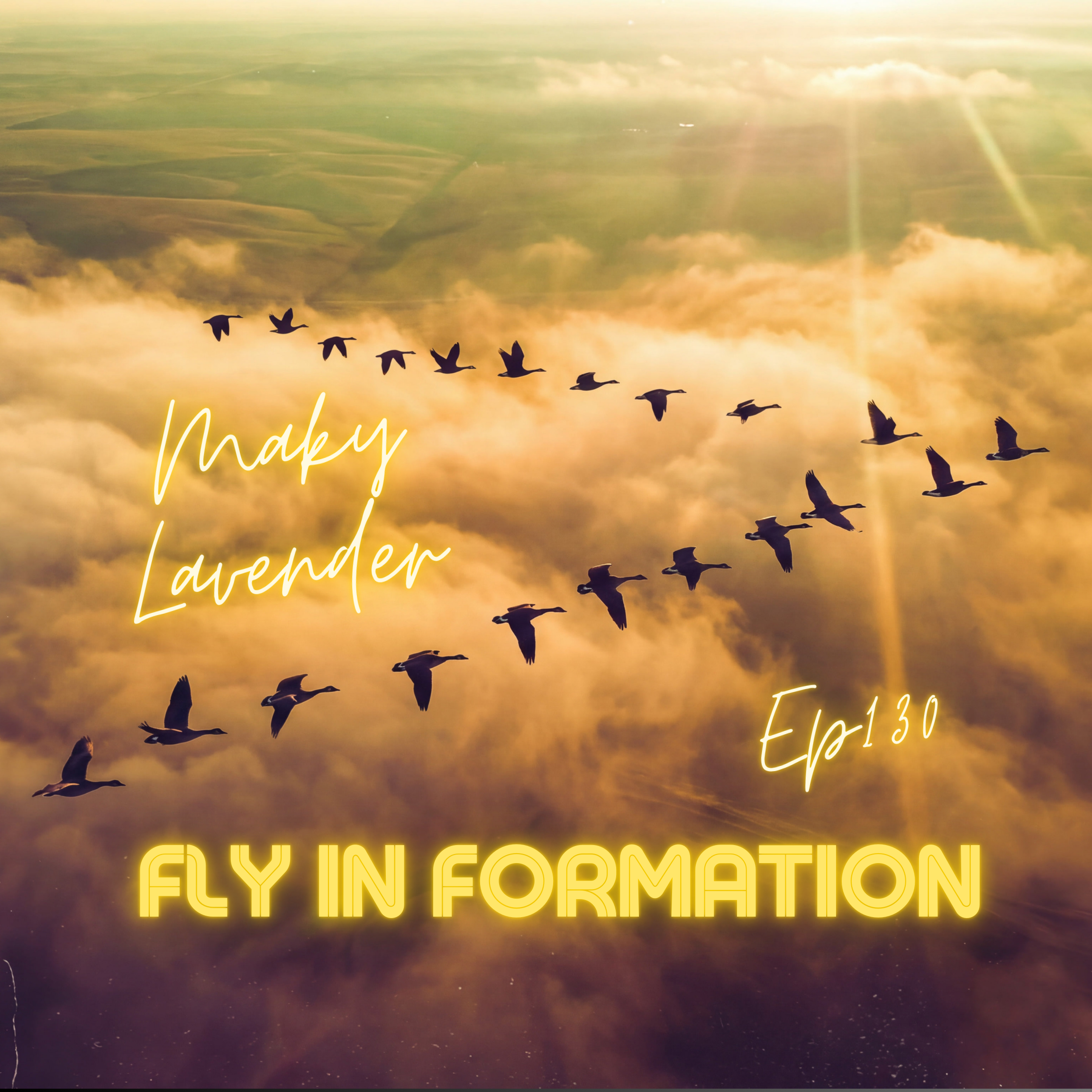Fly In Formation 131 - K.STONE