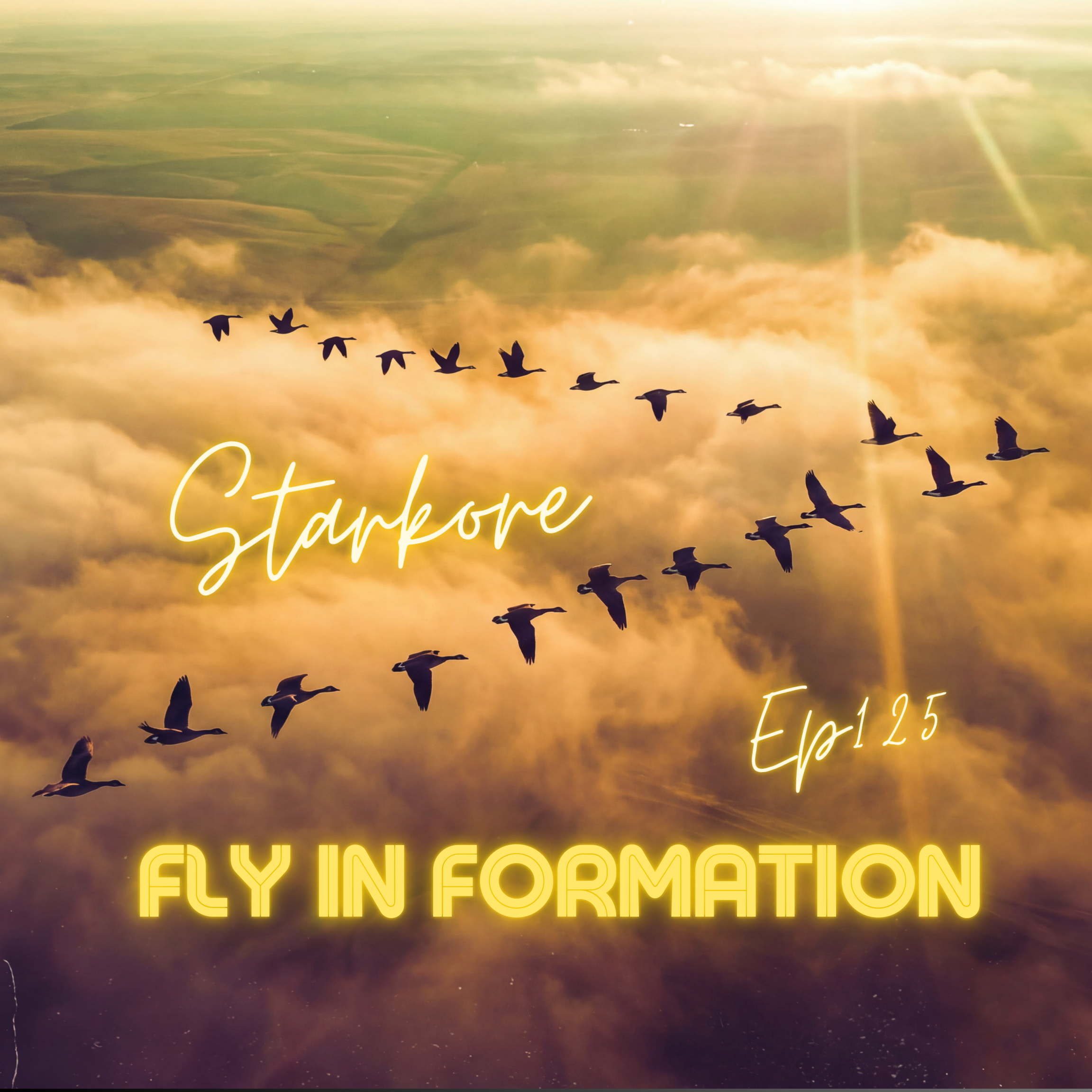 Fly In Formation 125 - Starkore