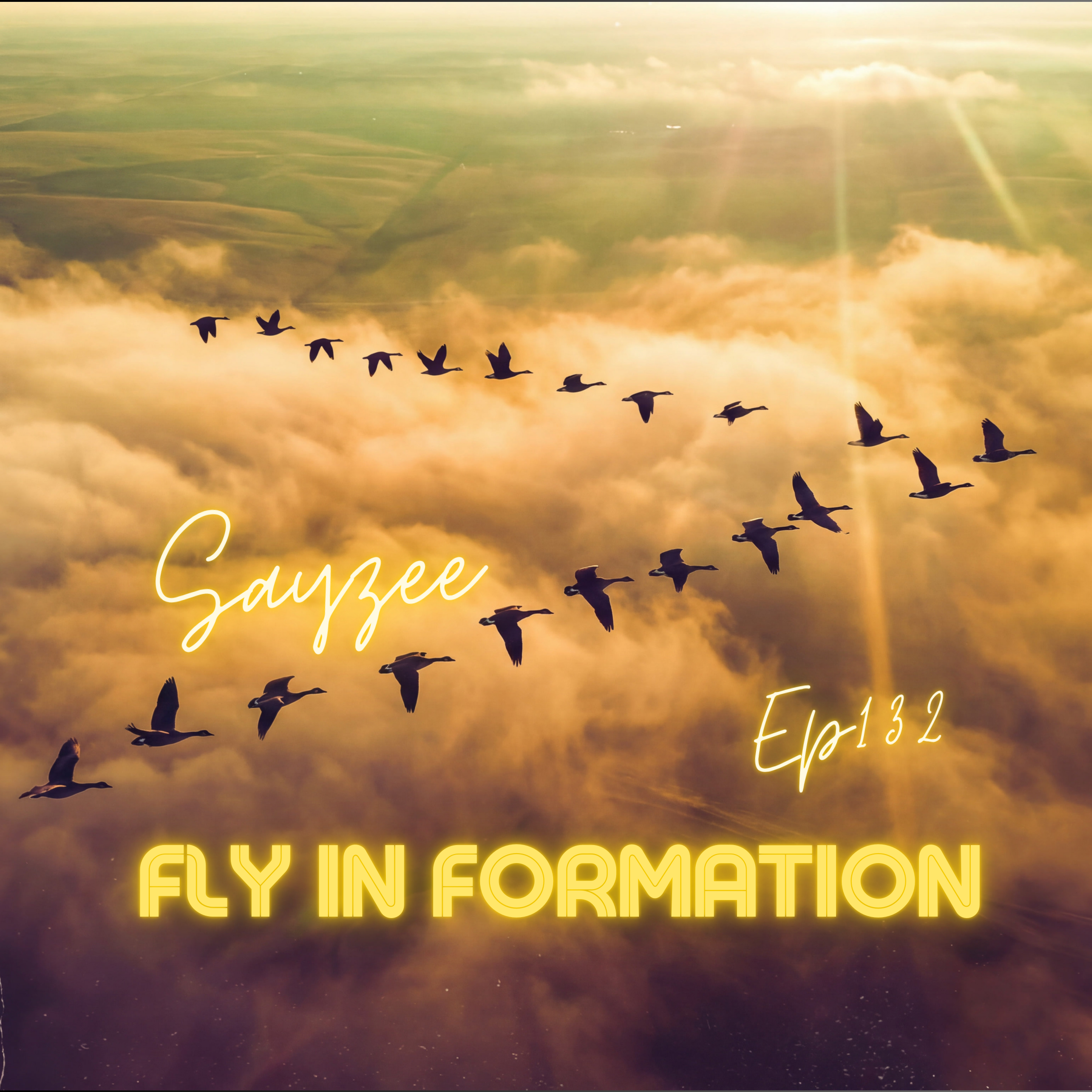 Fly In Formation 132 - Sayzee