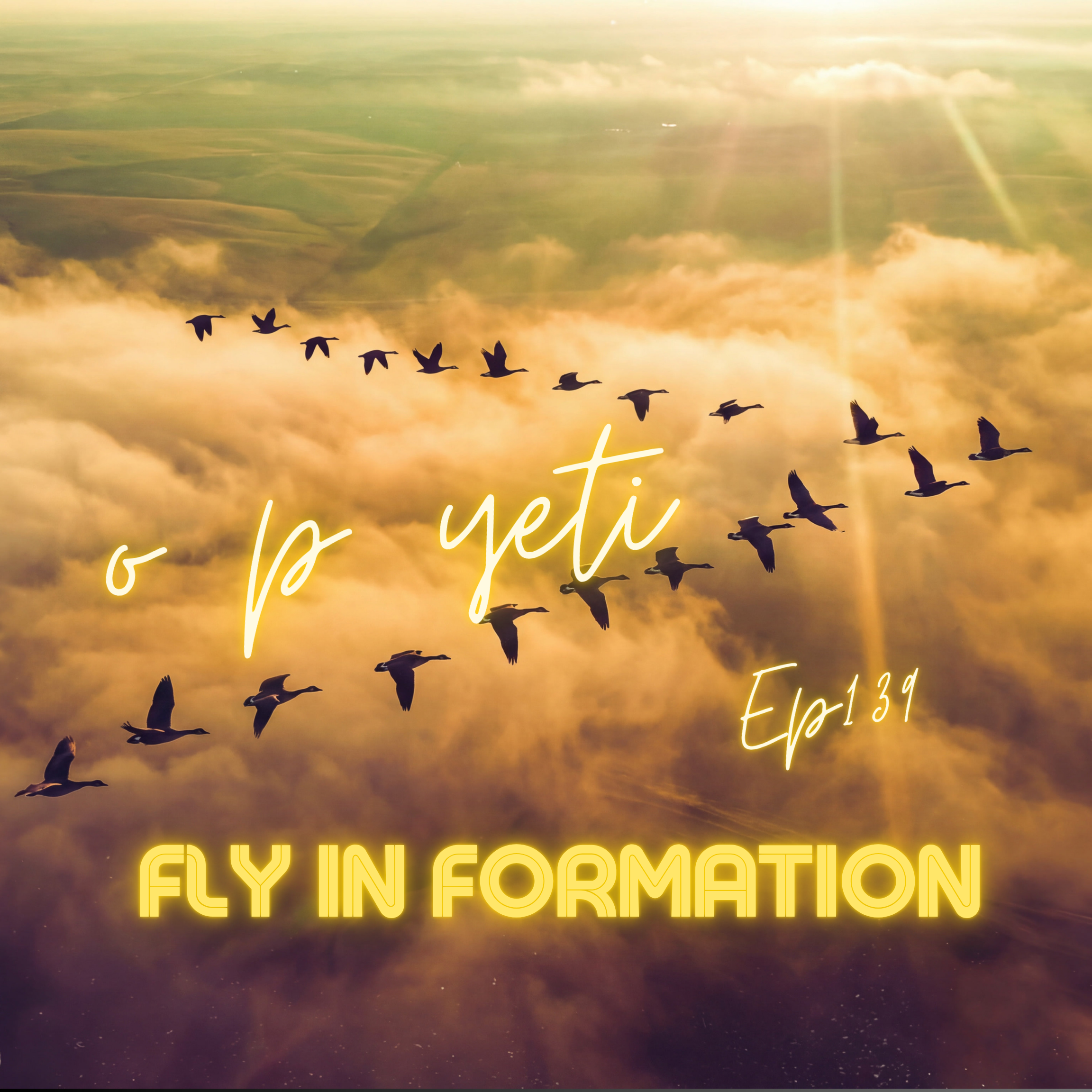 Fly In Formation 139 - o p yeti