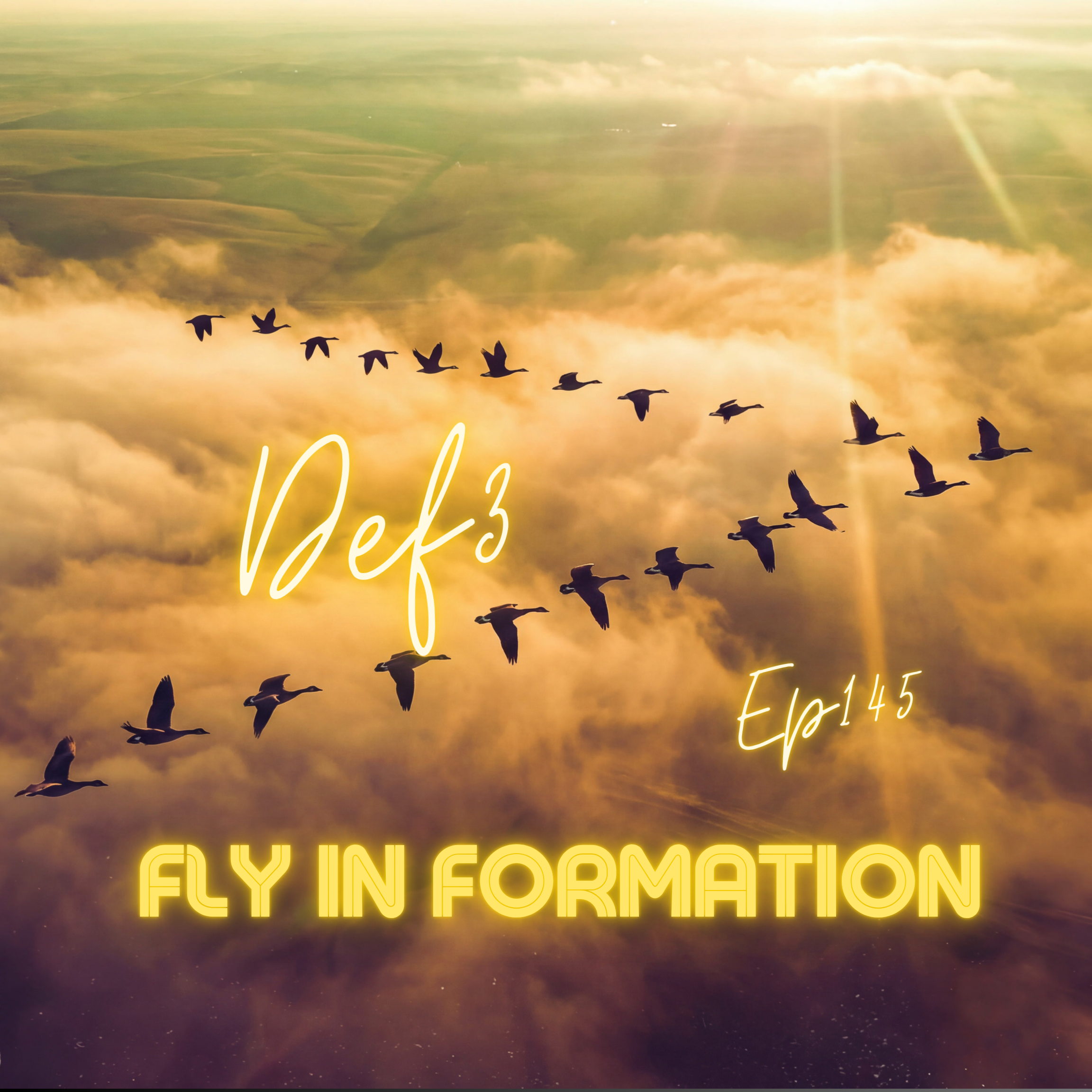 Fly In Formation 145 - Def3