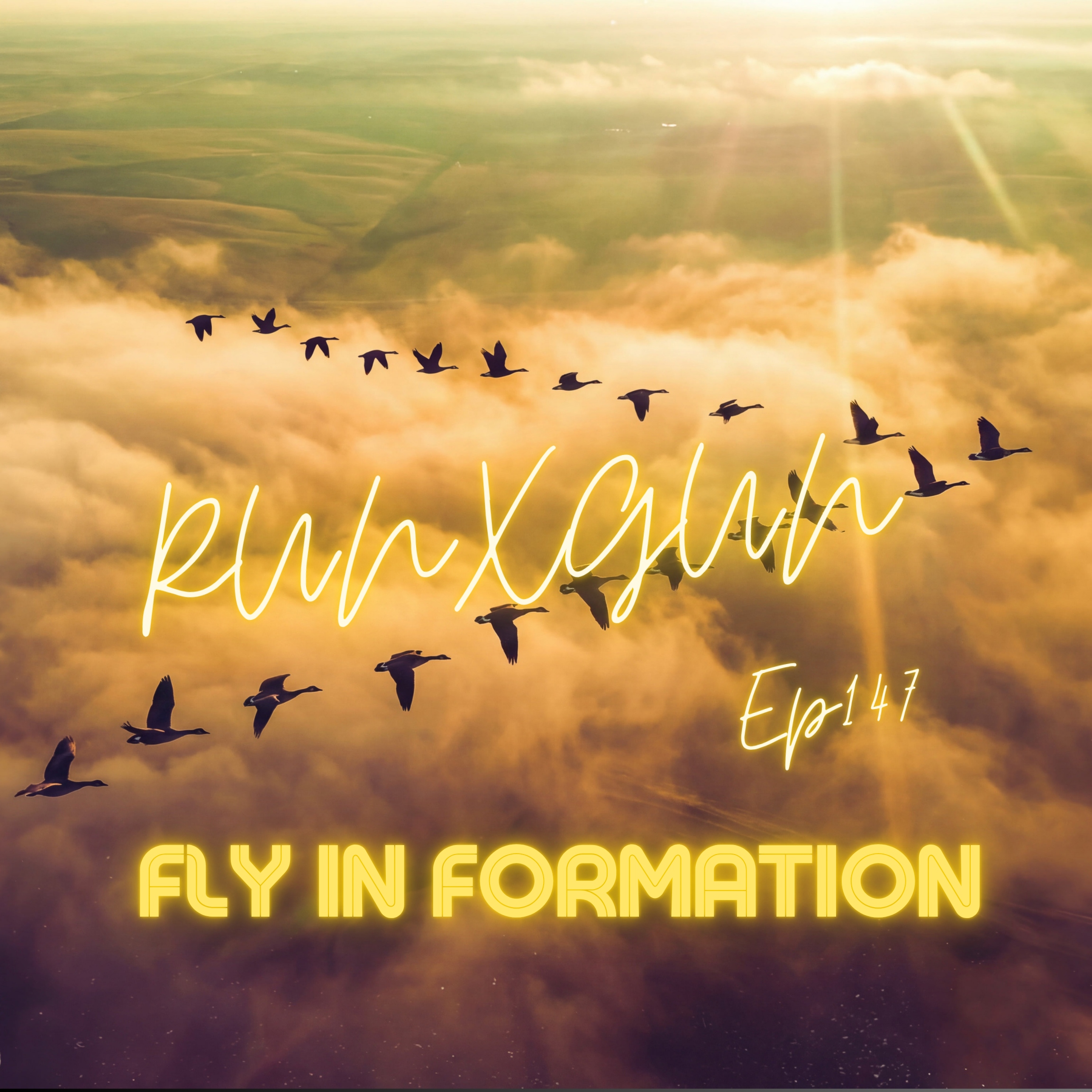 Fly In Formation 147 - RUNXGUN