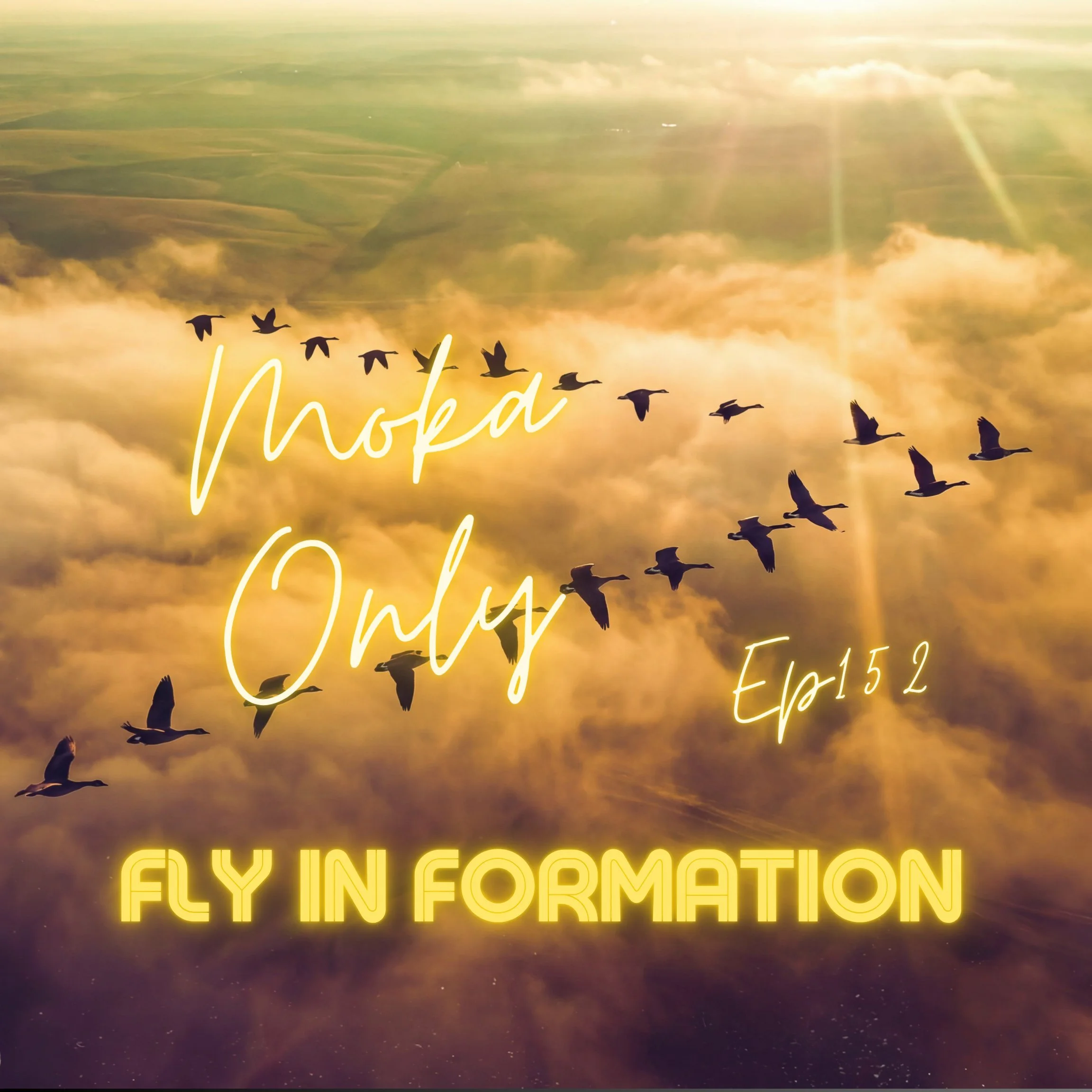 Fly In Formation 152 - Moka Only