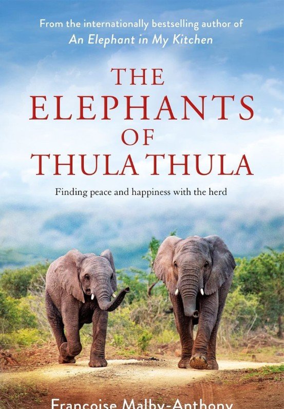 The Elephants Of Thula Thula