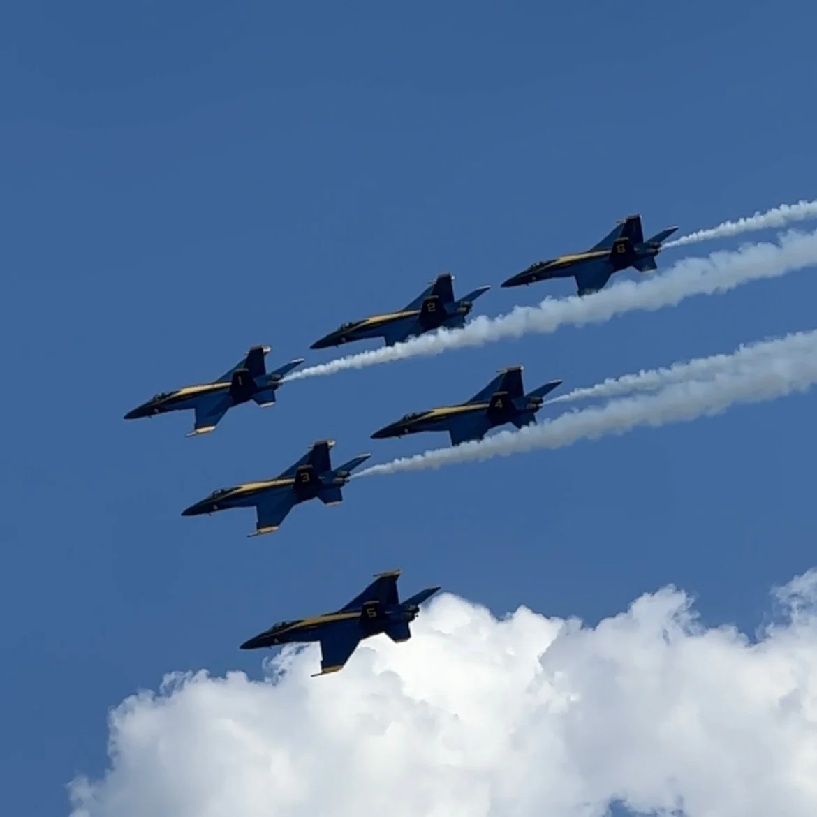It’s A Bird, It’s a Plane, It’s a Boeing F/A-18 Super Hornet