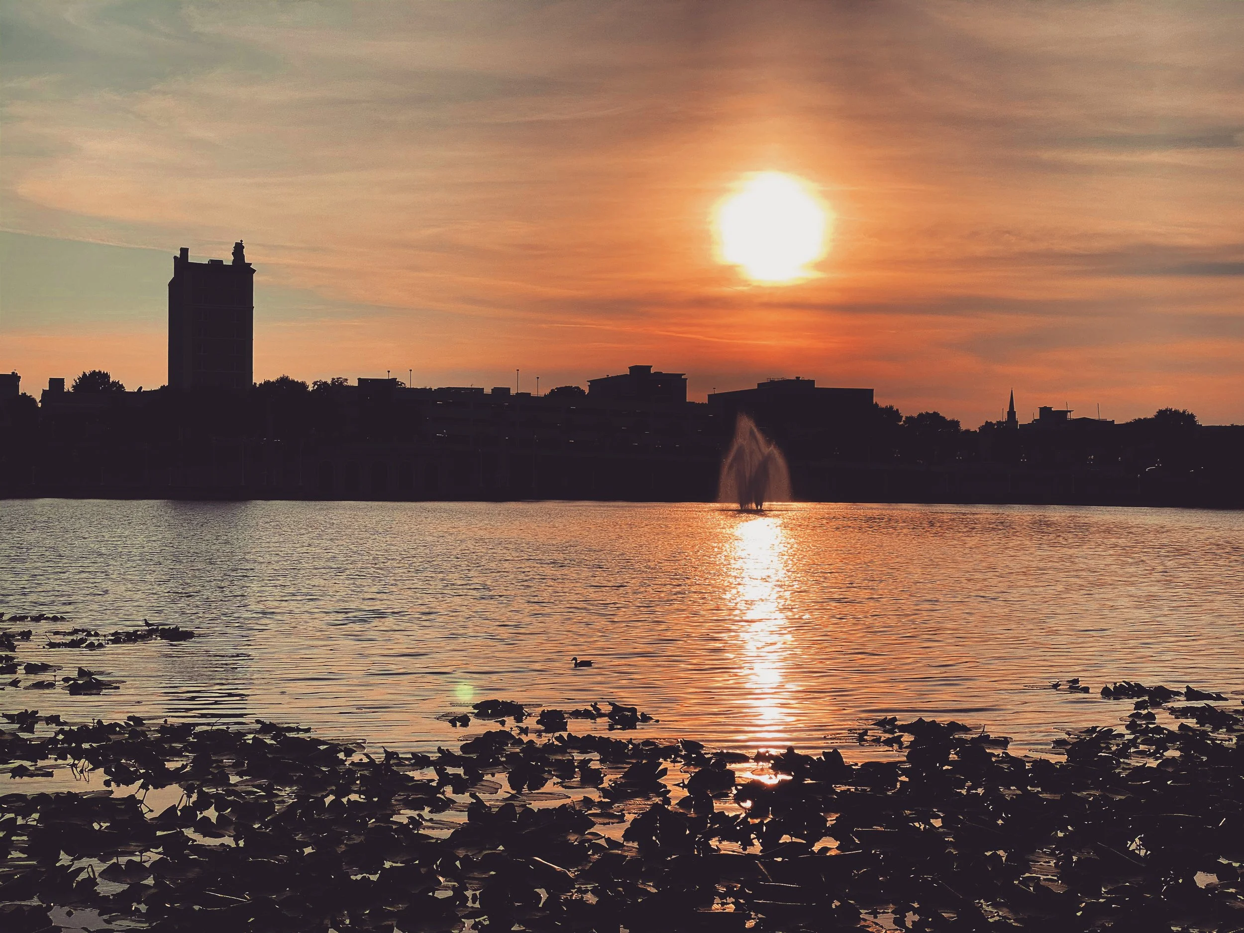 Unraveling the Enigmatic Frances Langford Promenade at Lake Mirror