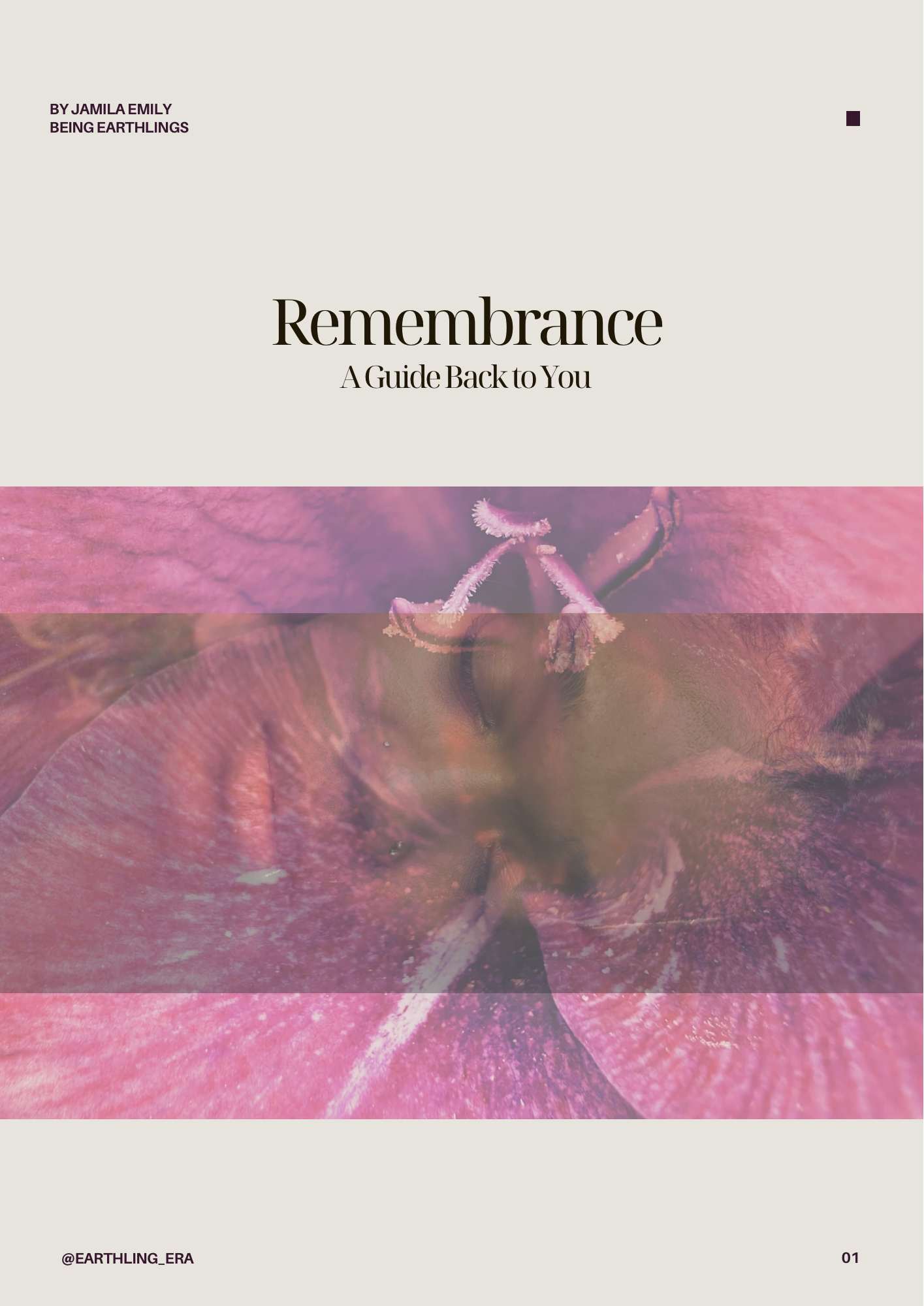 Remembrance A Guide Back to You - 1.png