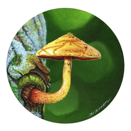 Stovepipe (7" diam) | SOLD