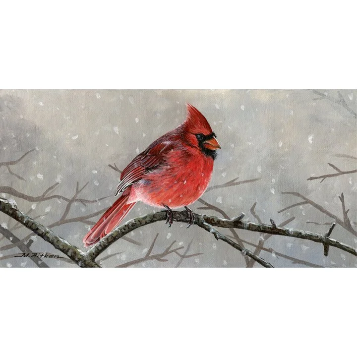 Cardinal.jpg
