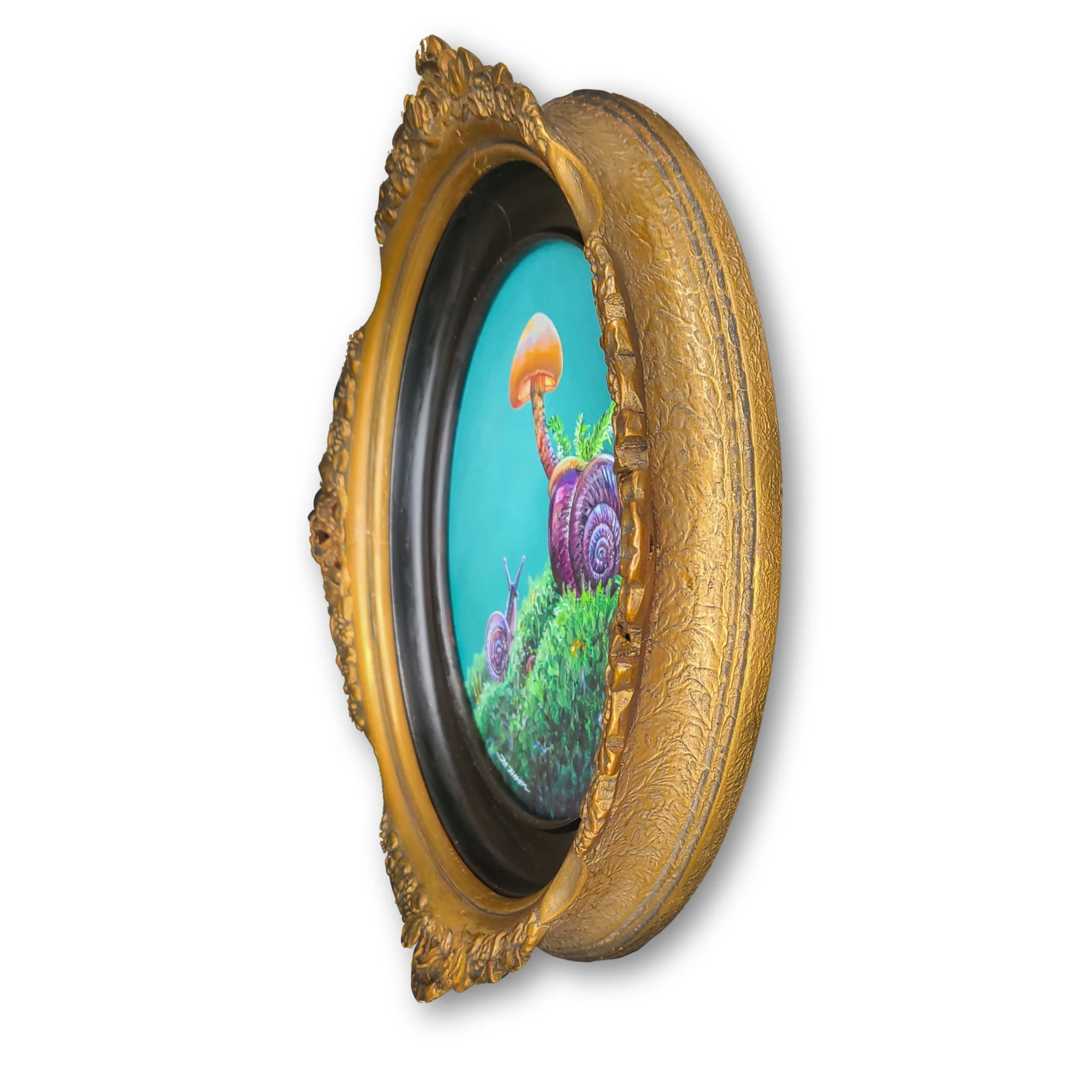 Snail's Dream_SIDE.jpg