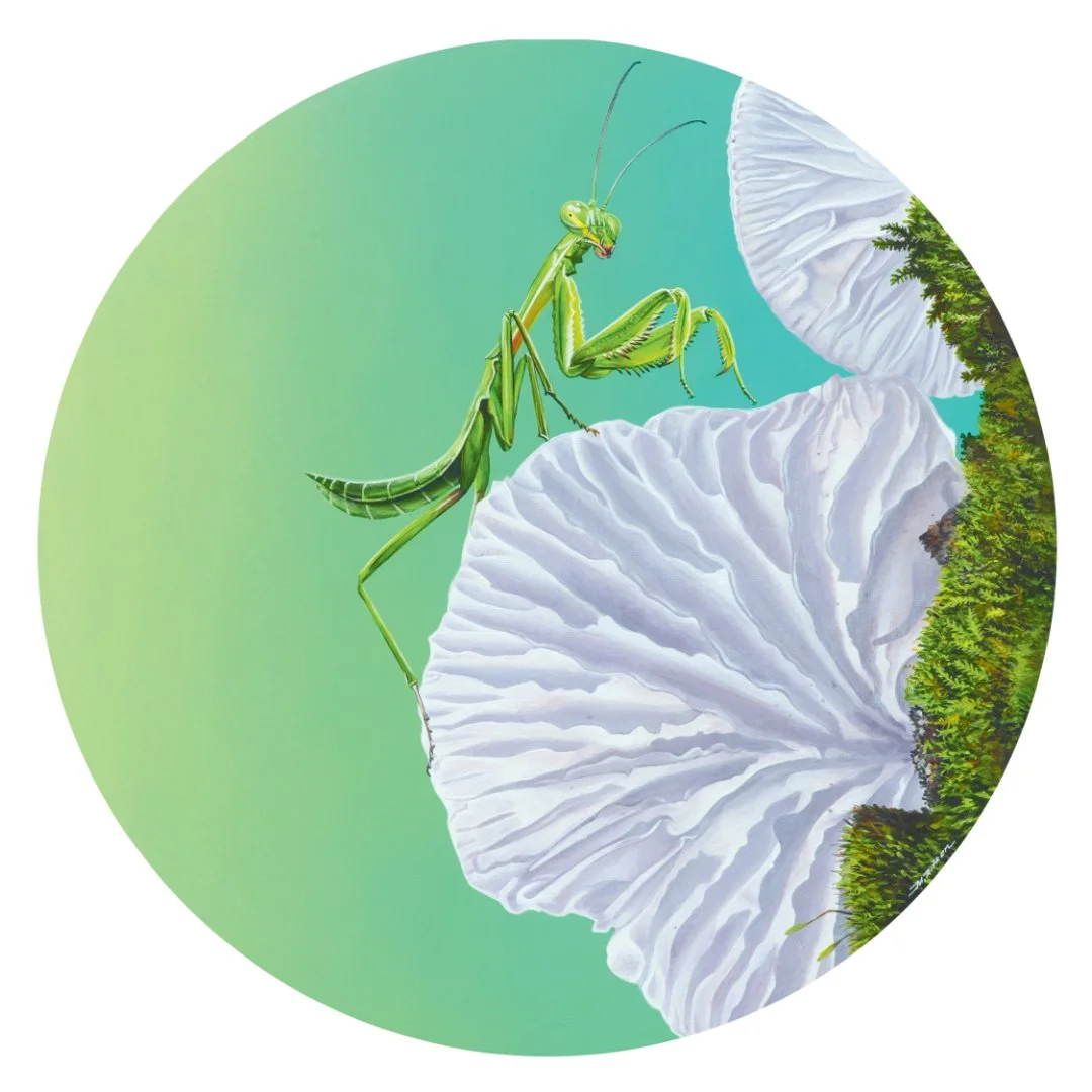 Pre-flight Perambulation_FRONT.jpg