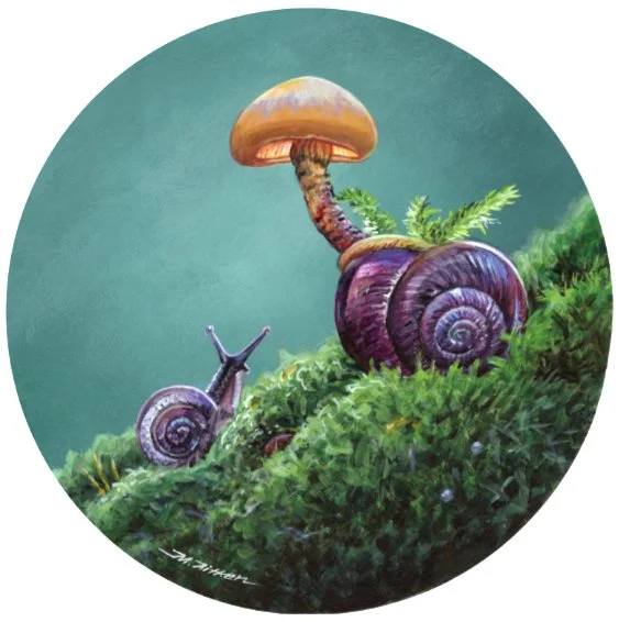Snail's Dream (7.75" diam) | SOLD