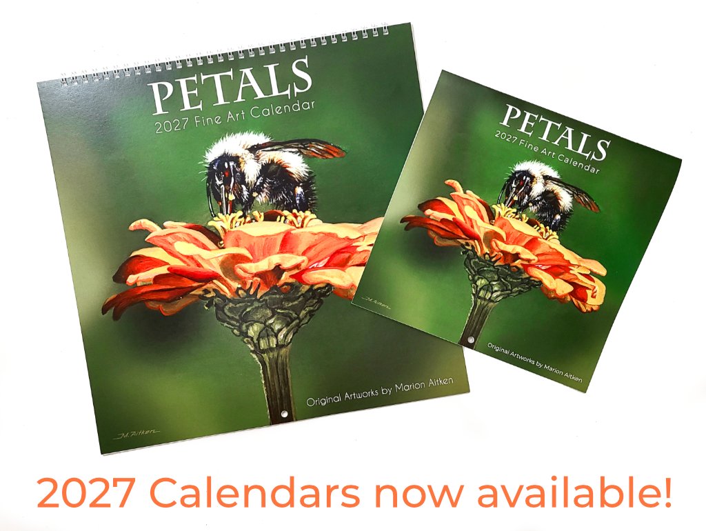 2027 wall calendar images with a bee on a zinnia flower