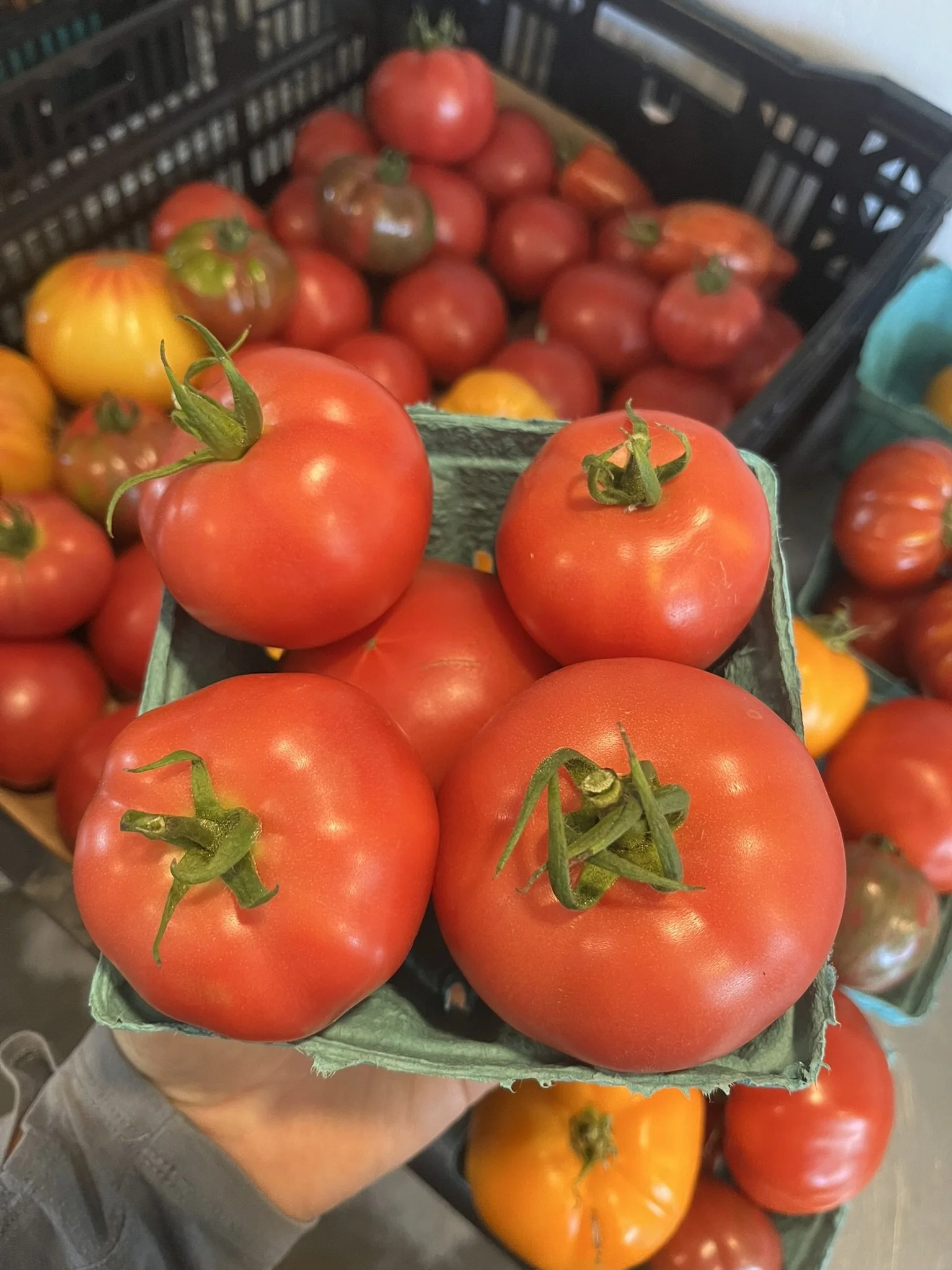 Slicer tomatoes - quart