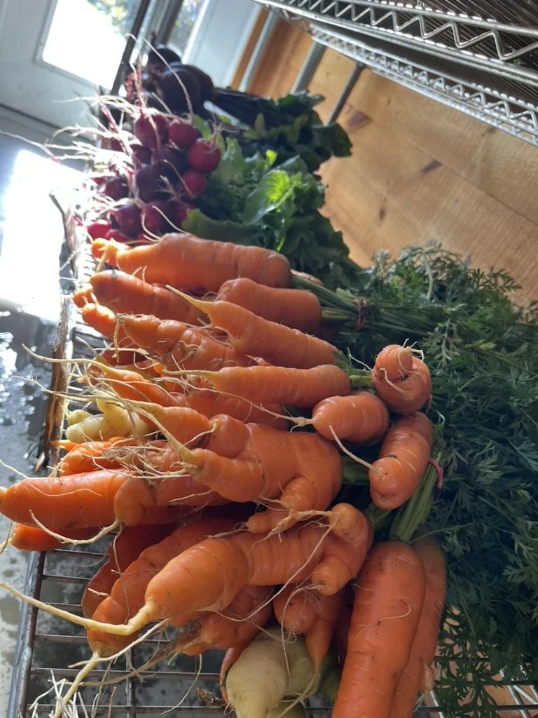 Carrots - 2 pound bag