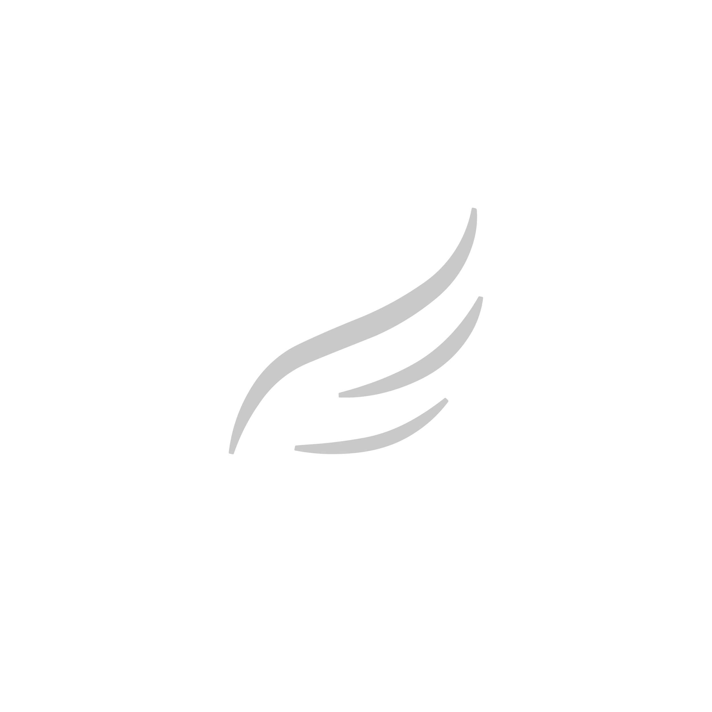 Dedalus Labs Logo, 13GALLONS Client