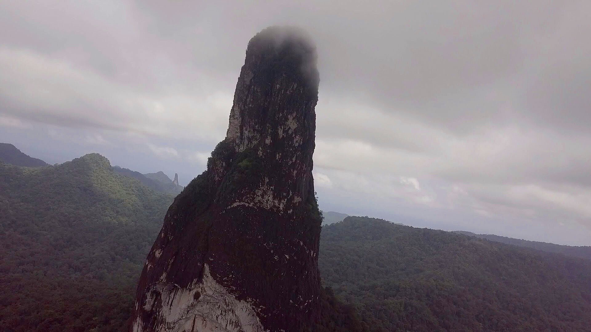 Tower.jpg
