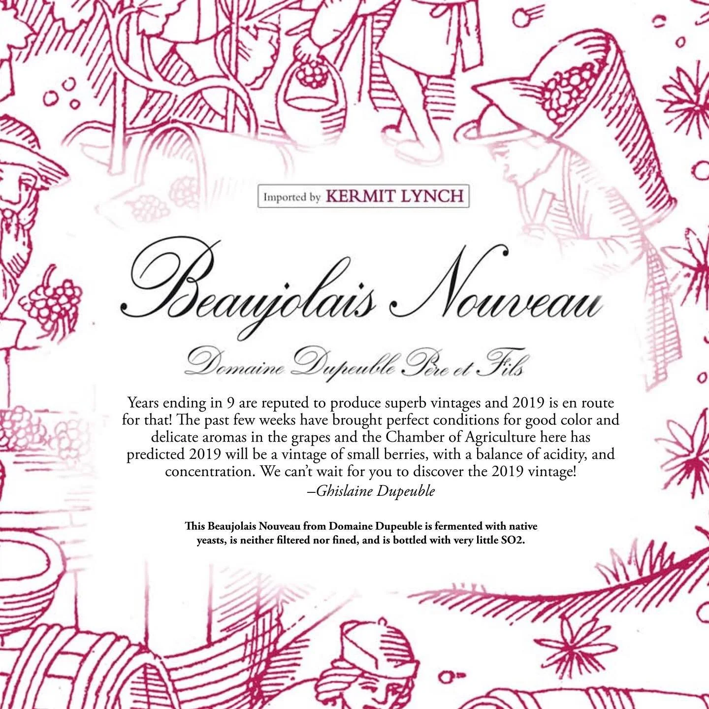 As Kermit said best in an early newsletter, "In Berkeley, we make the release of the Beaujolais Nouveau the wine party of the year, which is entirely appropriate given the spirit of the stuff. What an inspired invention the nouveau is, this newb