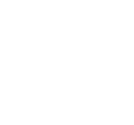 Dicsa-P.png