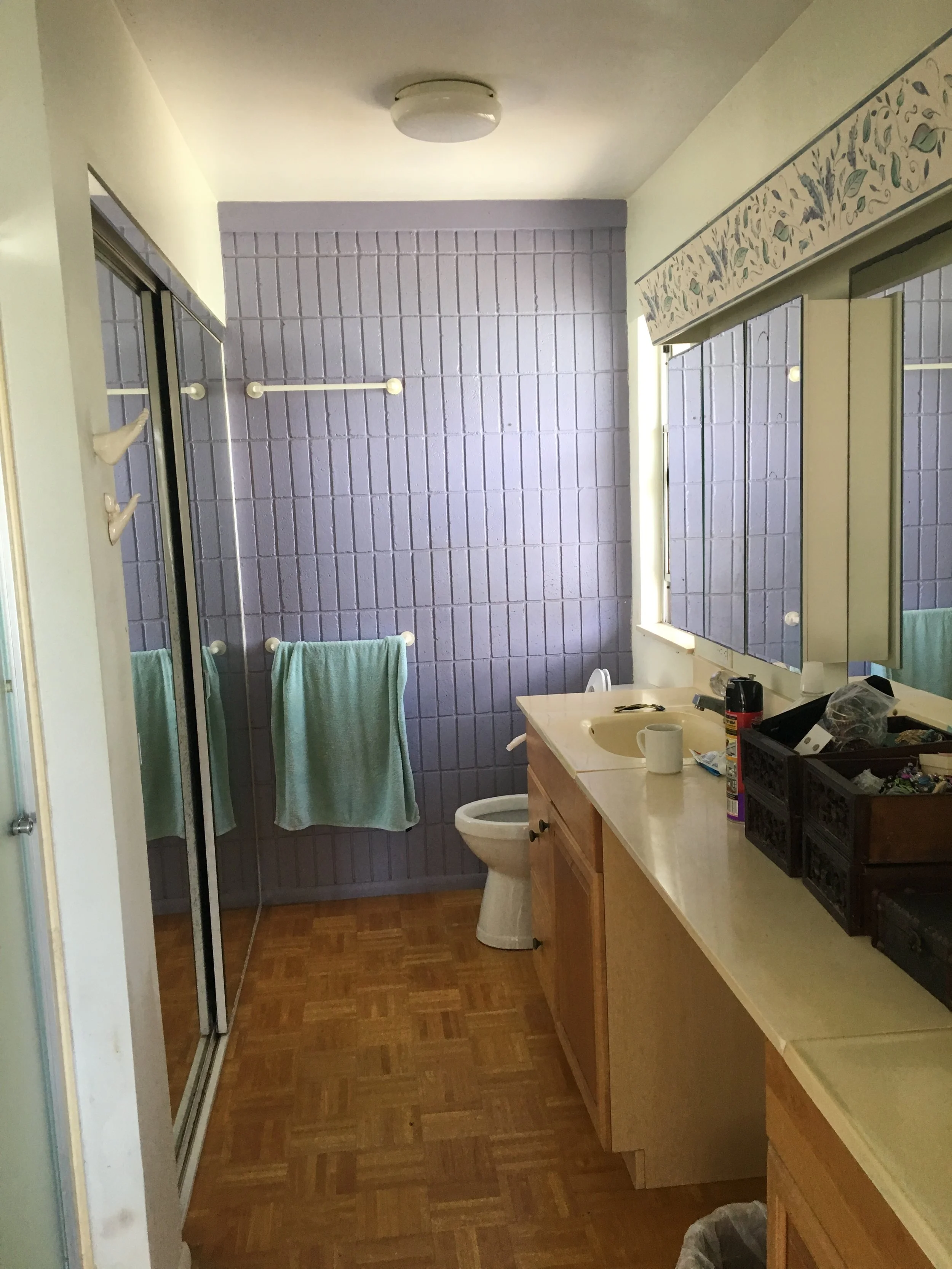 Master Bathroom Before