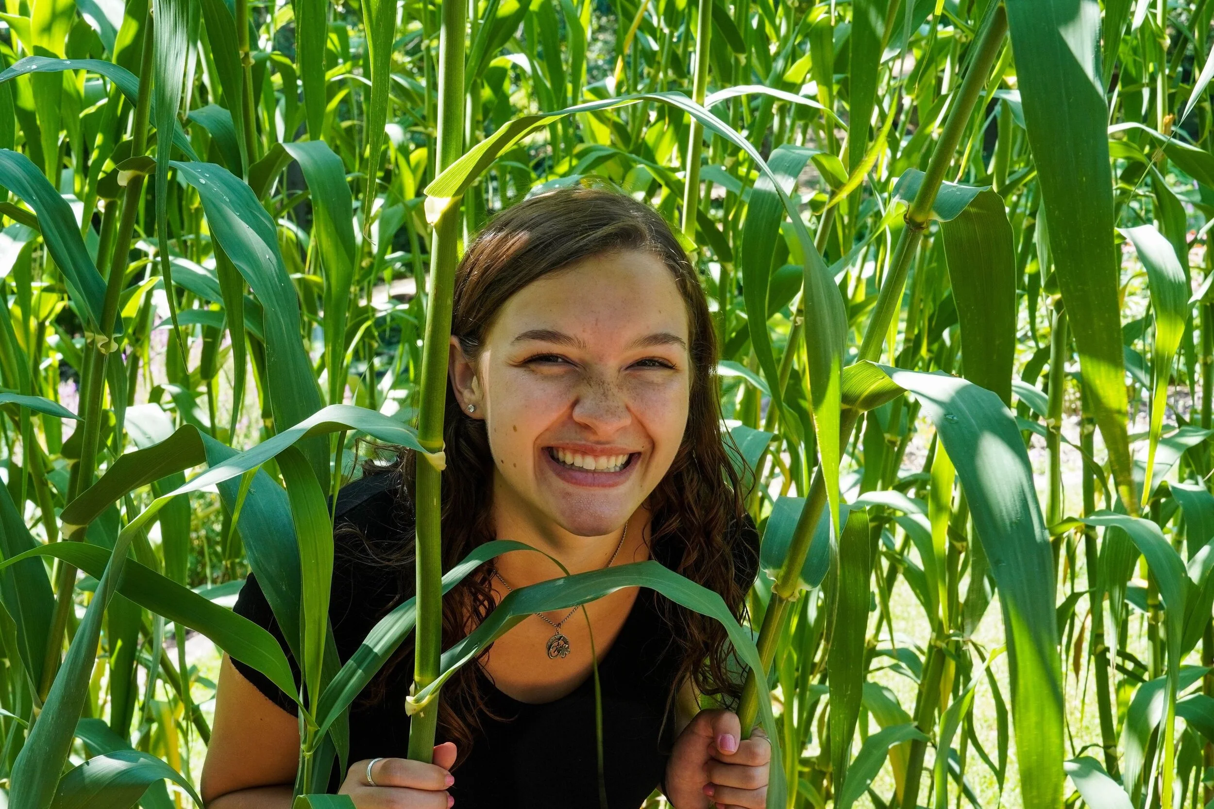 126068894_959459887910721_1047733141575739029_n.jpg