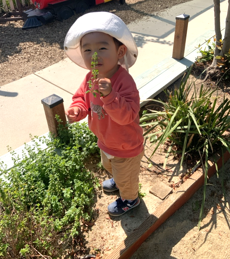 Little Hands, Living Things: Exploring Nature with Our Youngest Gardeners