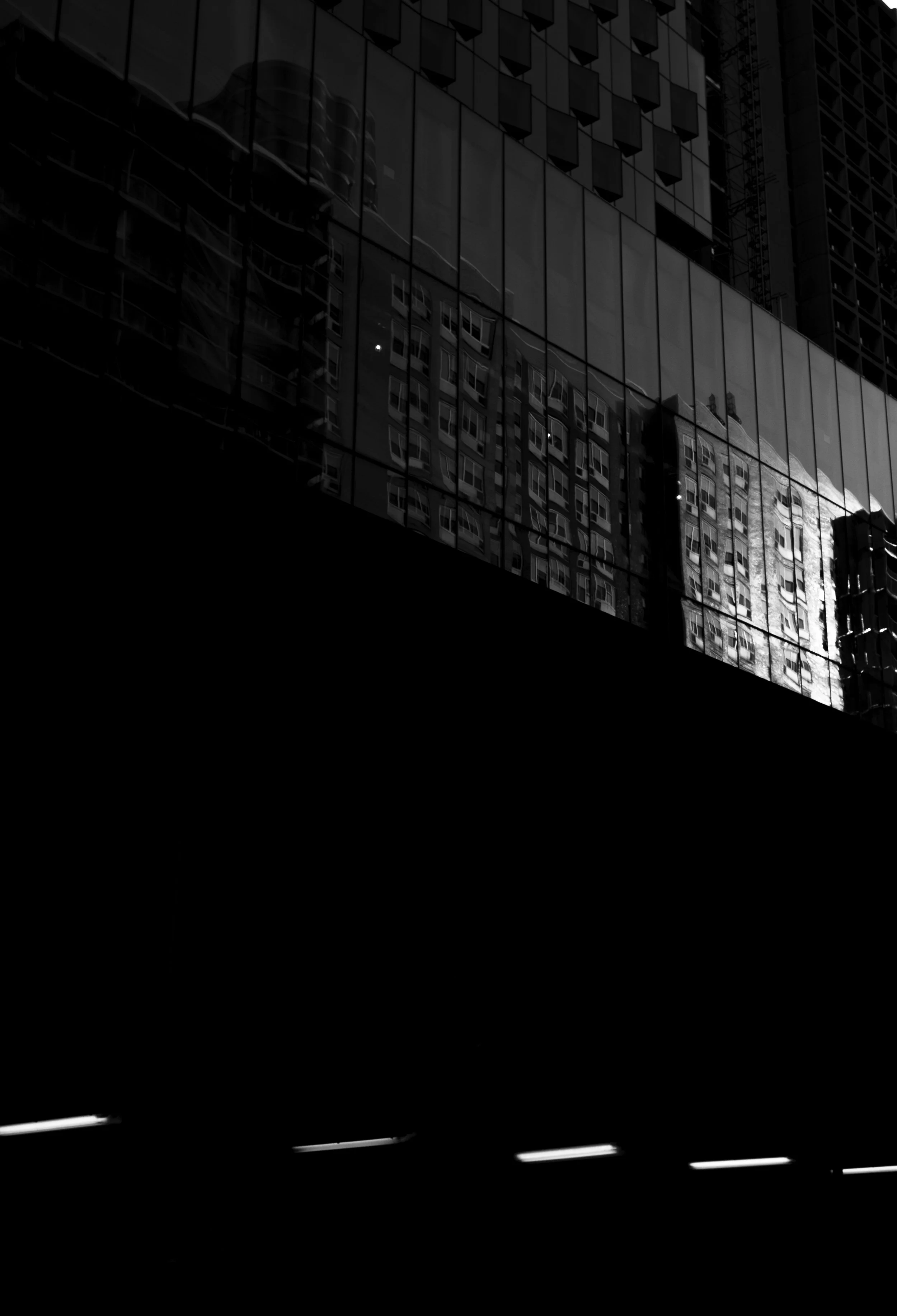 L1008260.jpg