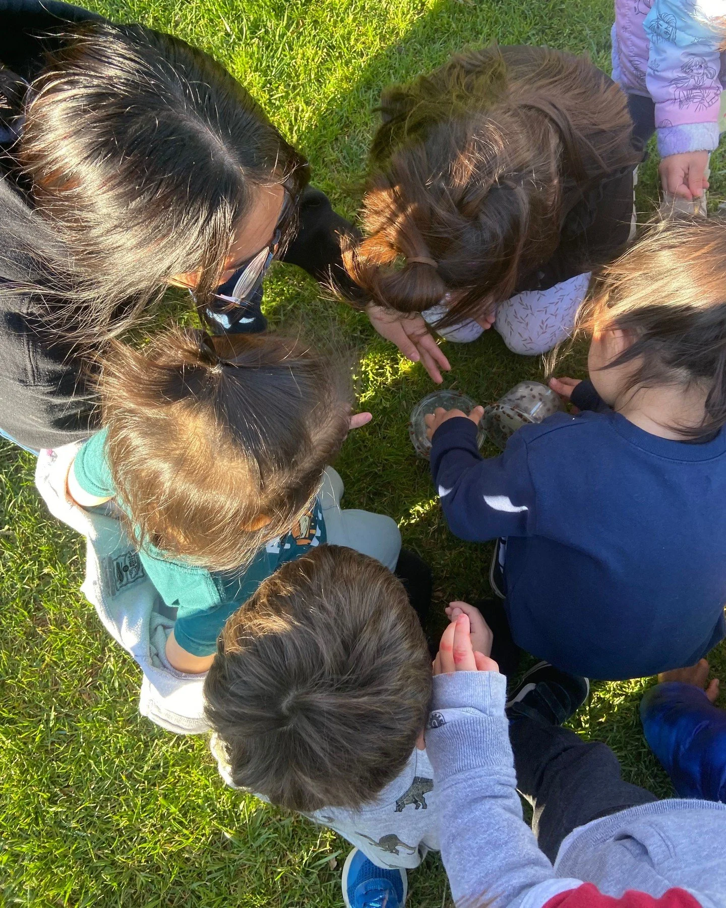 Our MNCP students had a wonderful time during our Ladybug Release Day.

Each classroom received a container of ladybugs to study before heading outside to release them into the world. Teachers led creative lessons and art projects that helped childre