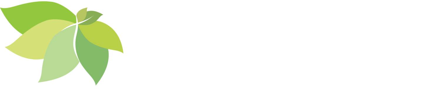 Neighborhood Christian Preschool - Preschool, Daycare, and Childcare In San Jose, CA