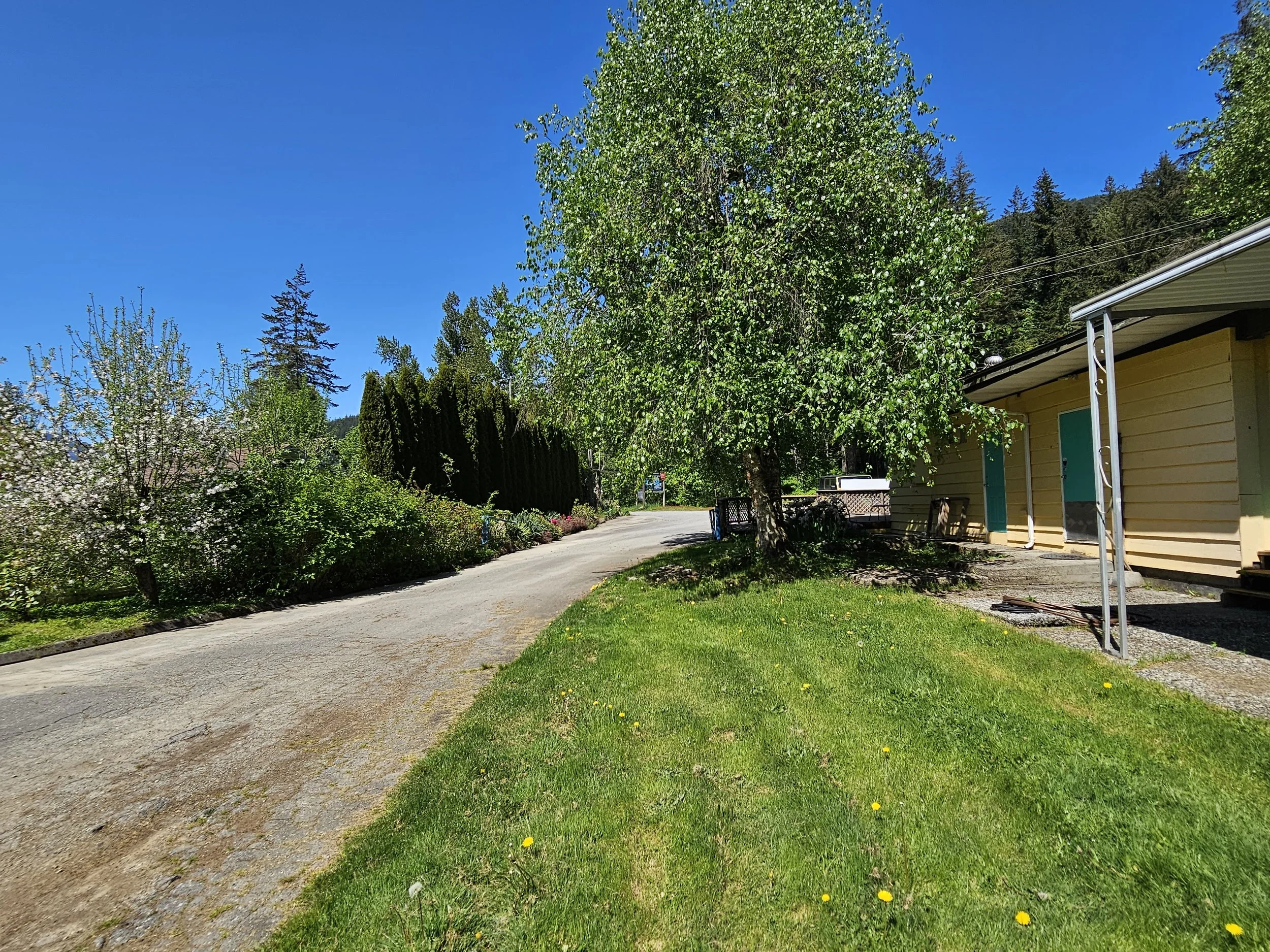 Driveway 3.jpg