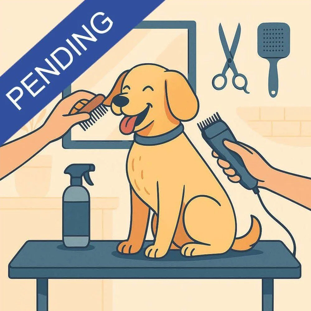 PET GROOMING