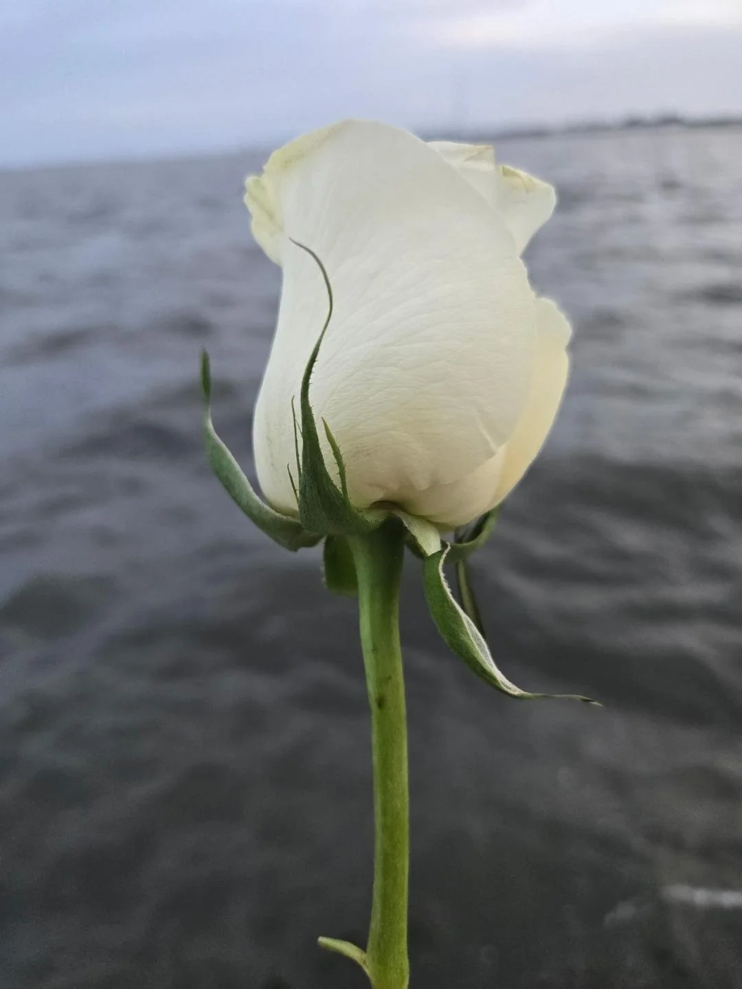 September 11th Memorial 