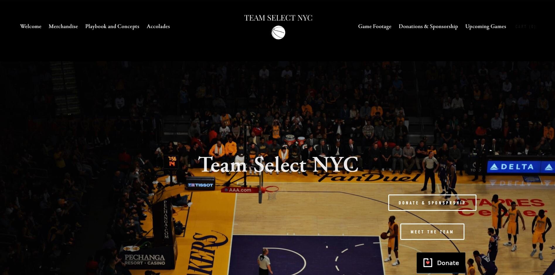 Team Select NYC