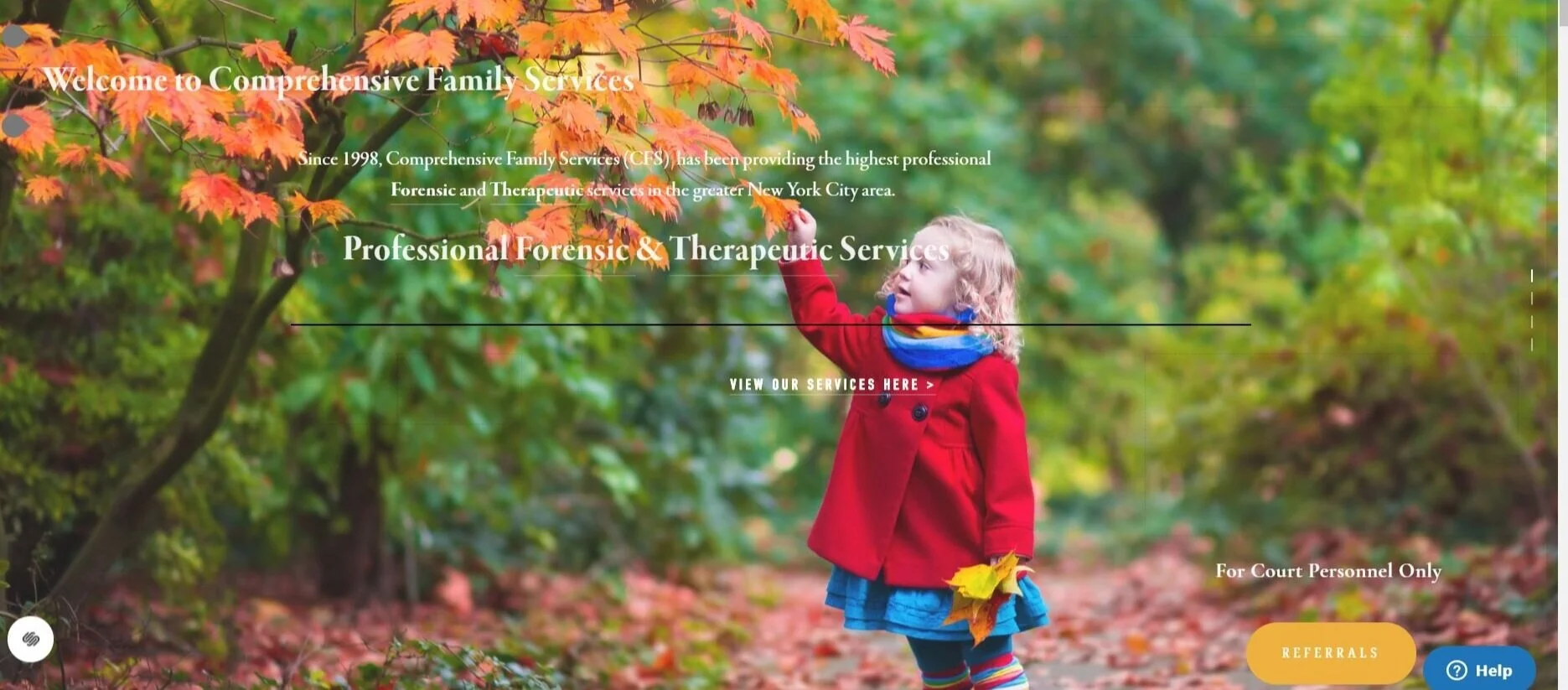 Comprehensive Family Services