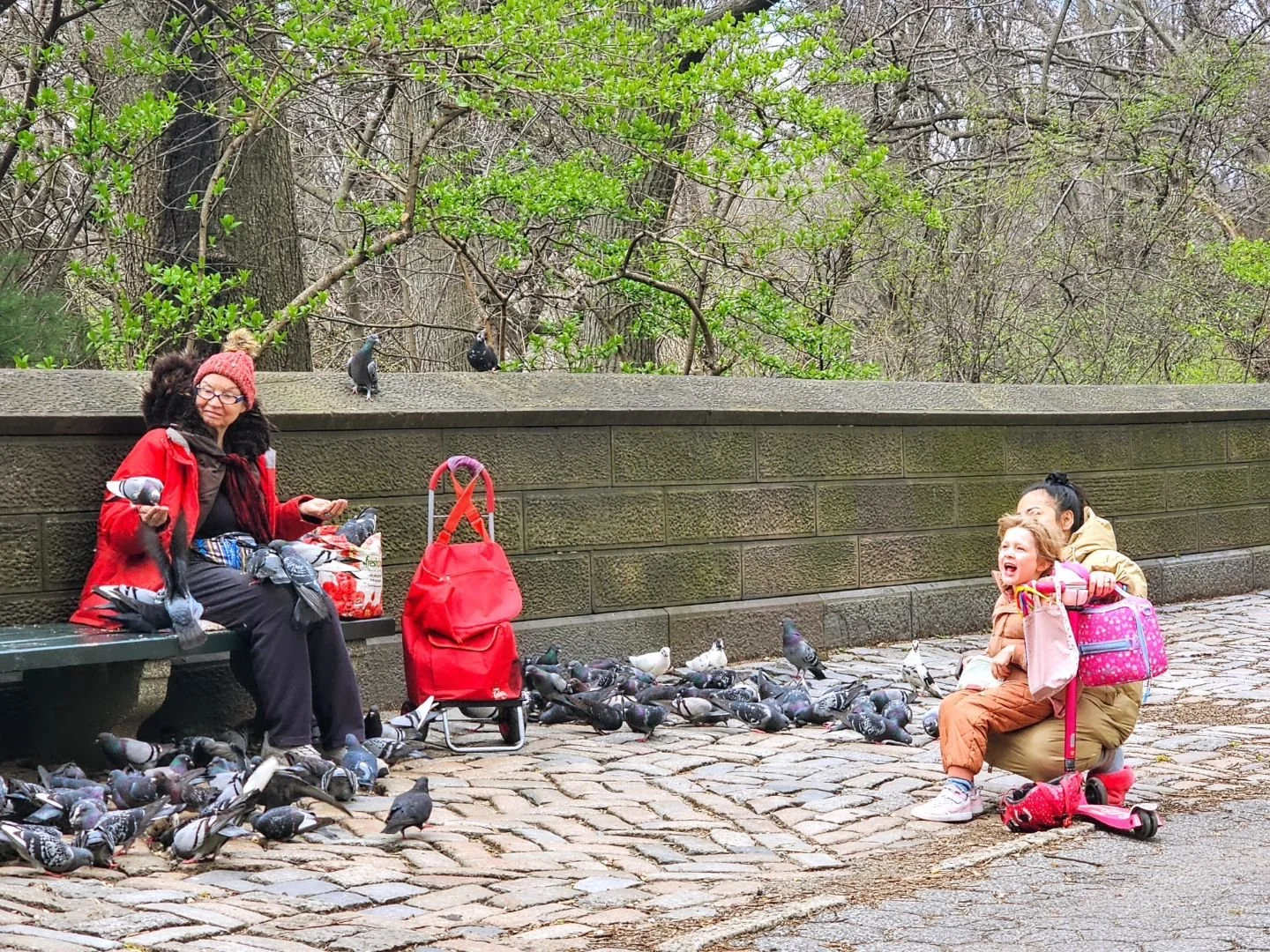 The Pigeon Lady of NYC has been found. #nyc #centralpark #photography #people #character