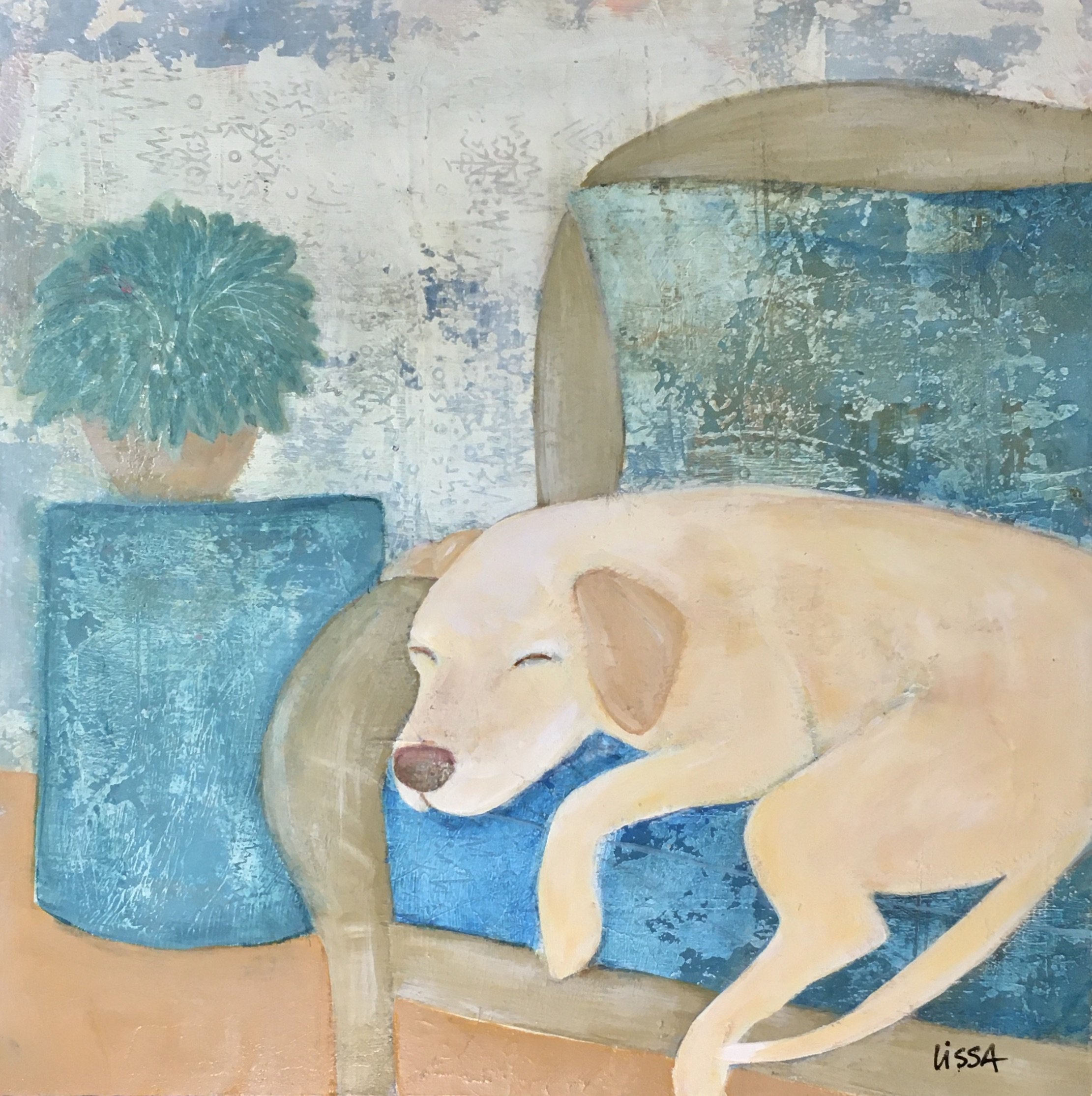 Summer Siesta
