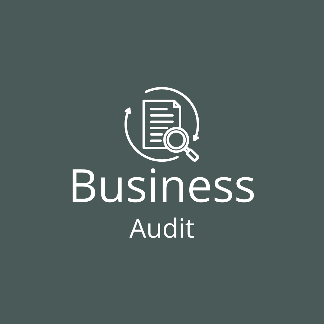 Business Audit