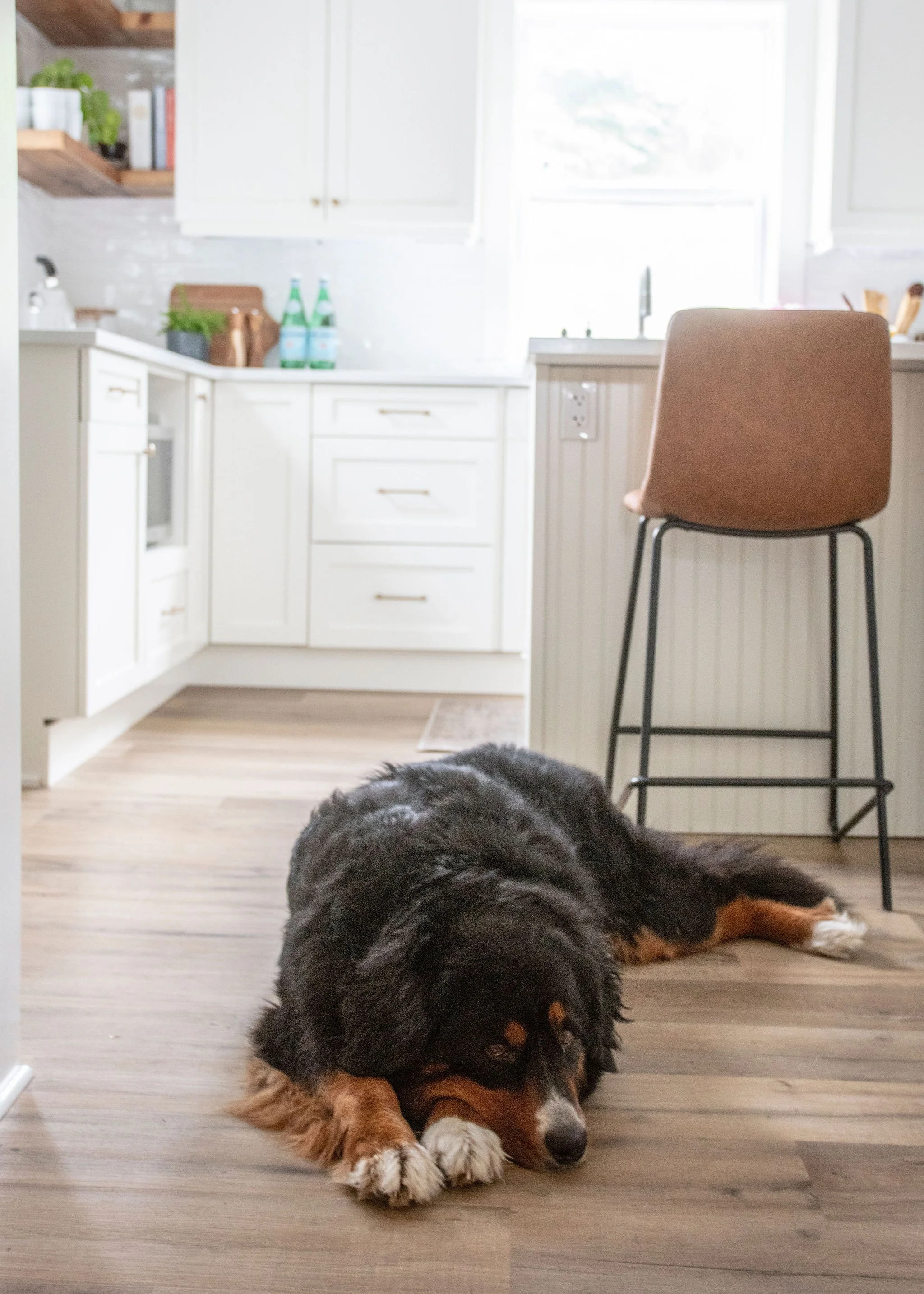 Windsor Nova Scotia Main Floor Renovation by Interior Decorator