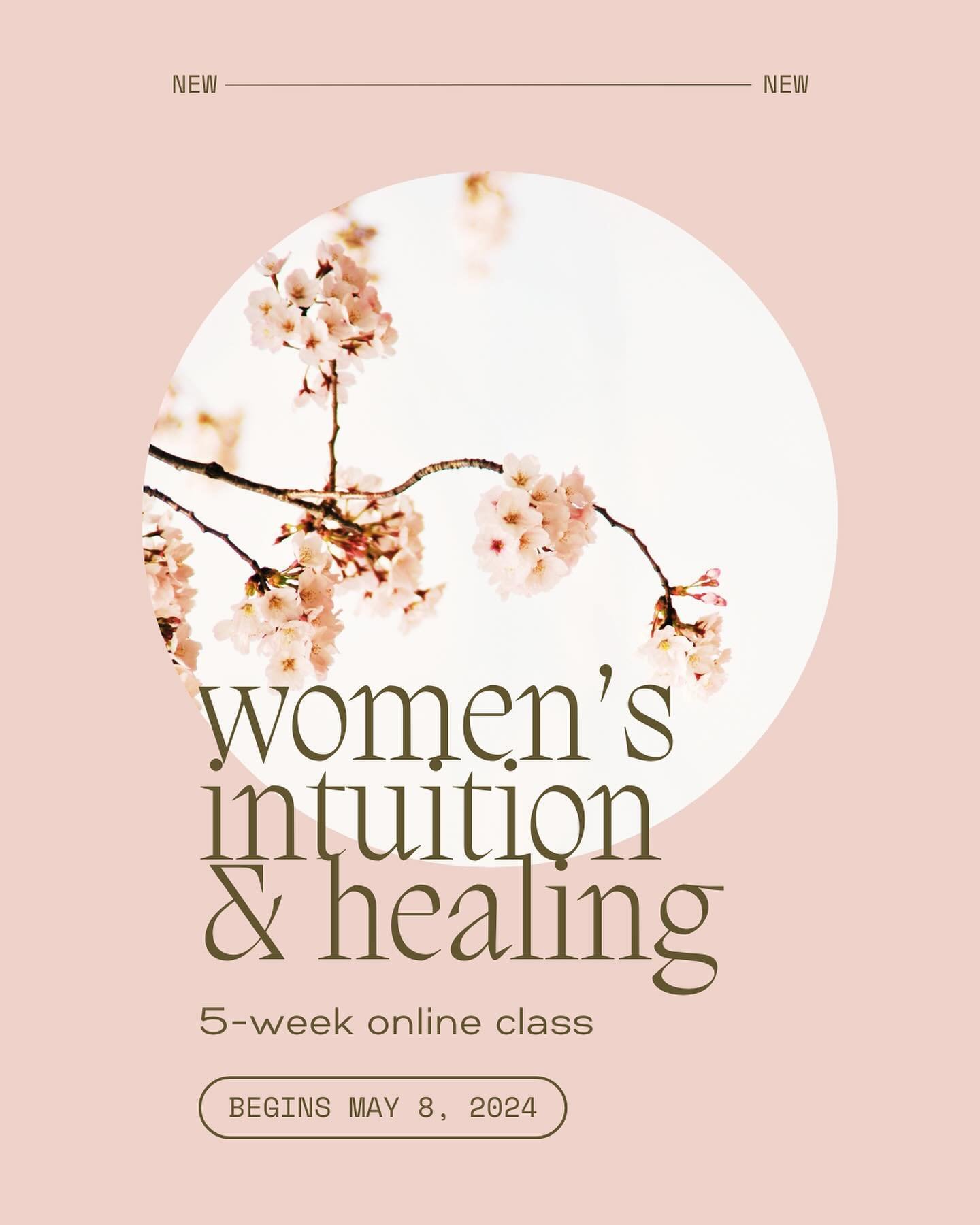 understanding how to work with my female energy changed my life. 

it&rsquo;s brought more ease, more trust, and a far more natural feeling of flow to my everyday existence. 

it&rsquo;s transformed how I approach my business, my creations, my relati