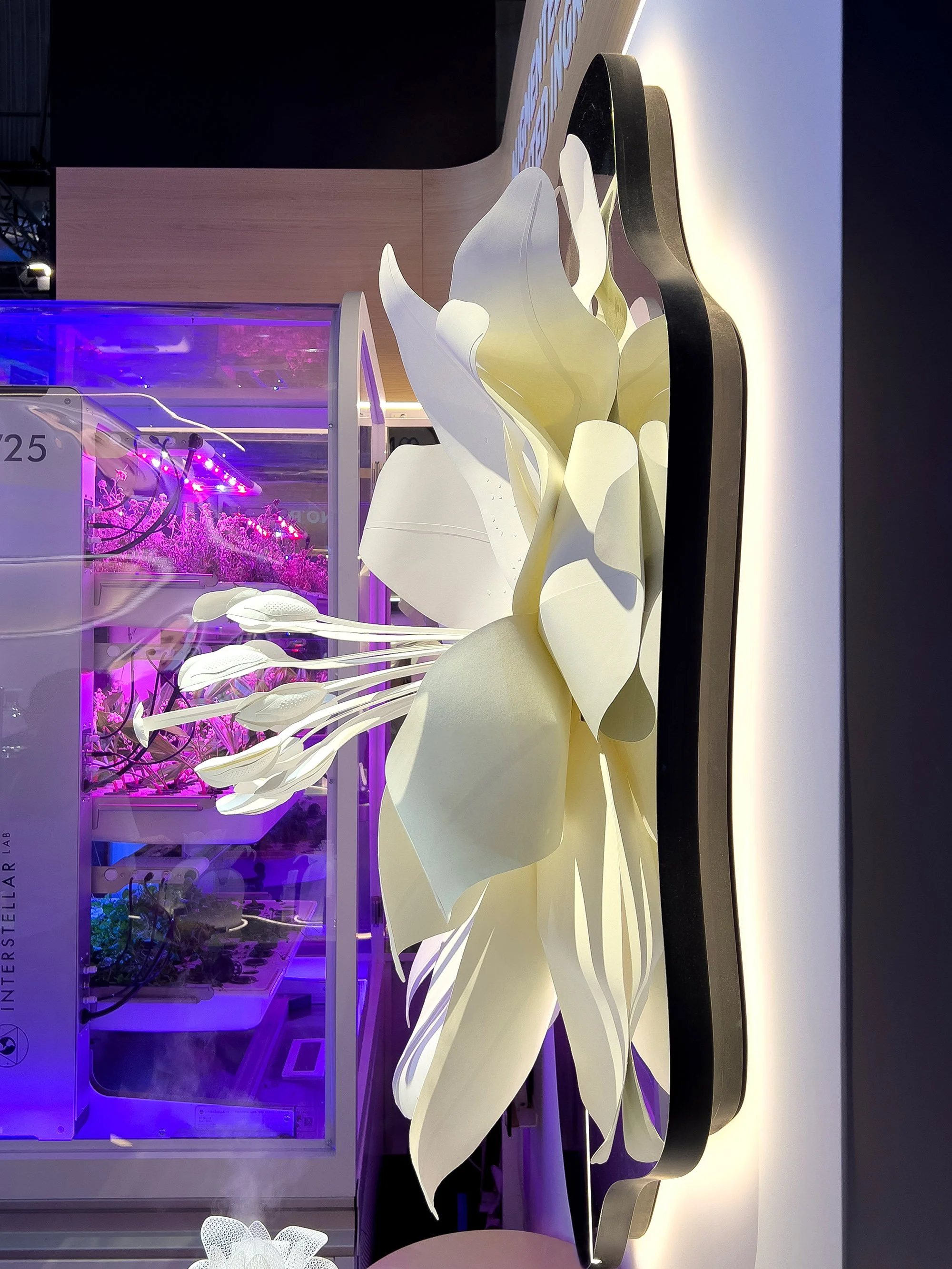 Side view of the botanical paper sculpture mounted on a backlit mirror.