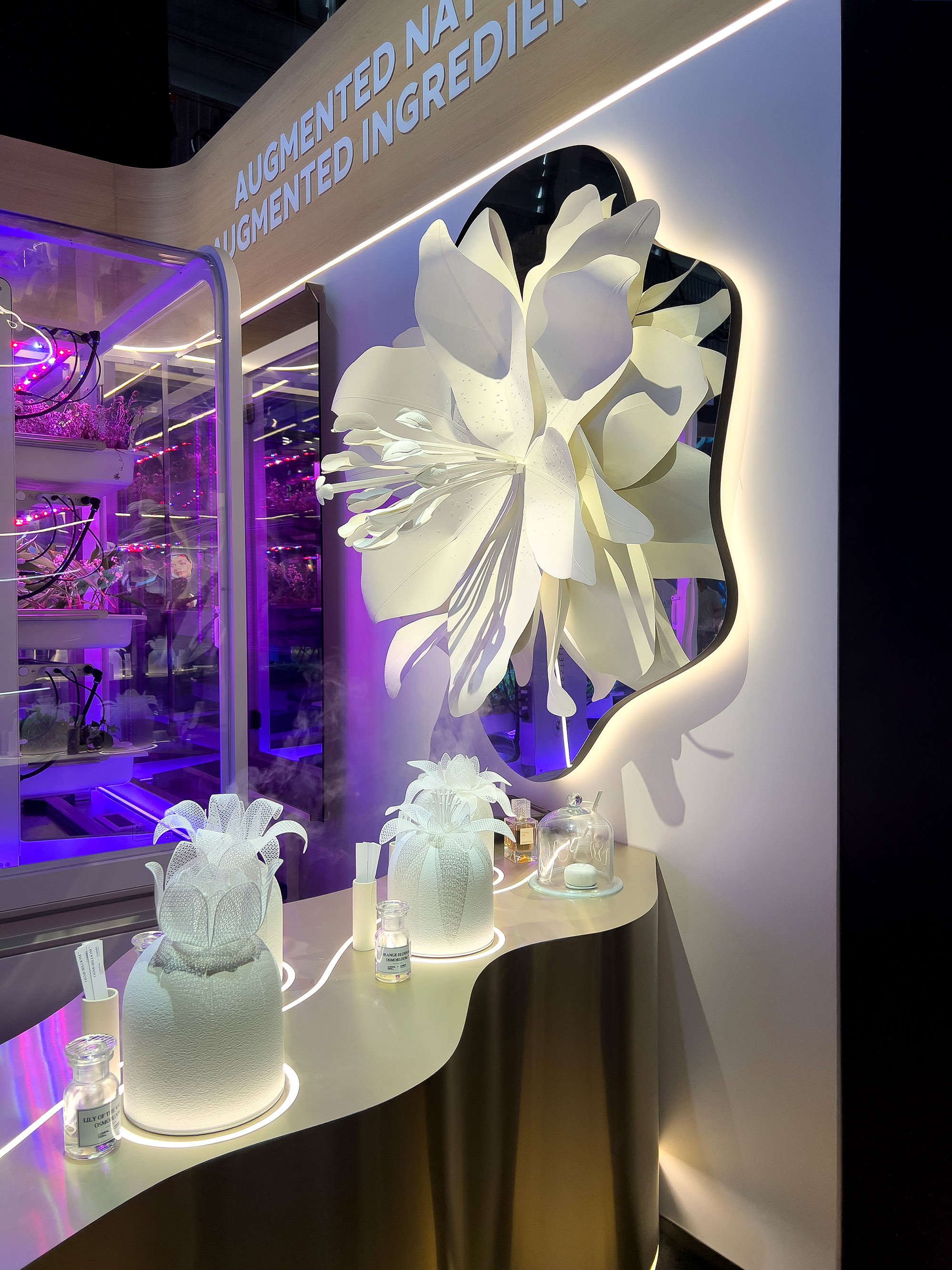 Illuminated botanical paper sculpture mounted on a custom backlit mirror for L'Oréal Group.