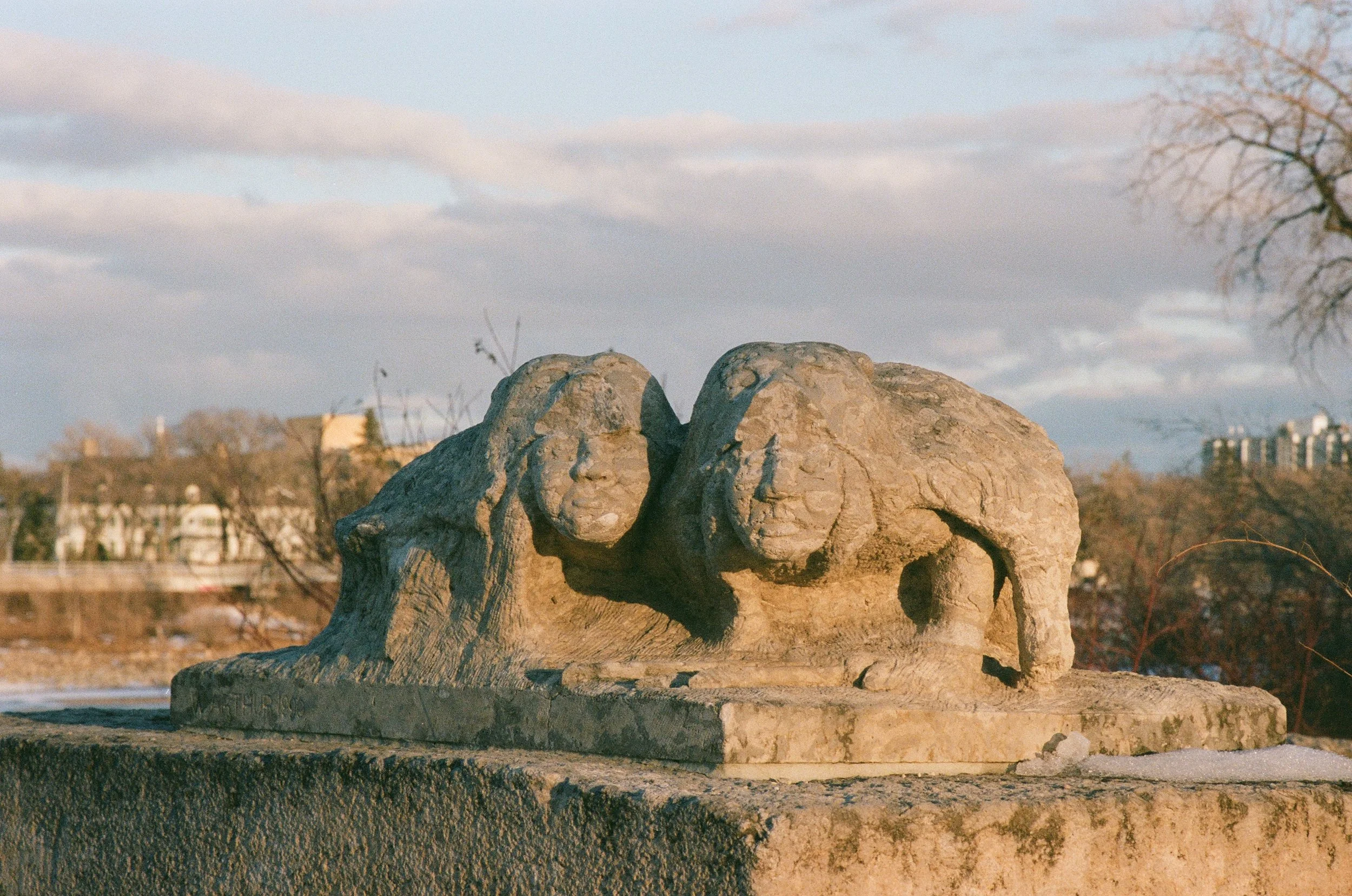 Apprendre une langue genrée en tant que personne non-binaire