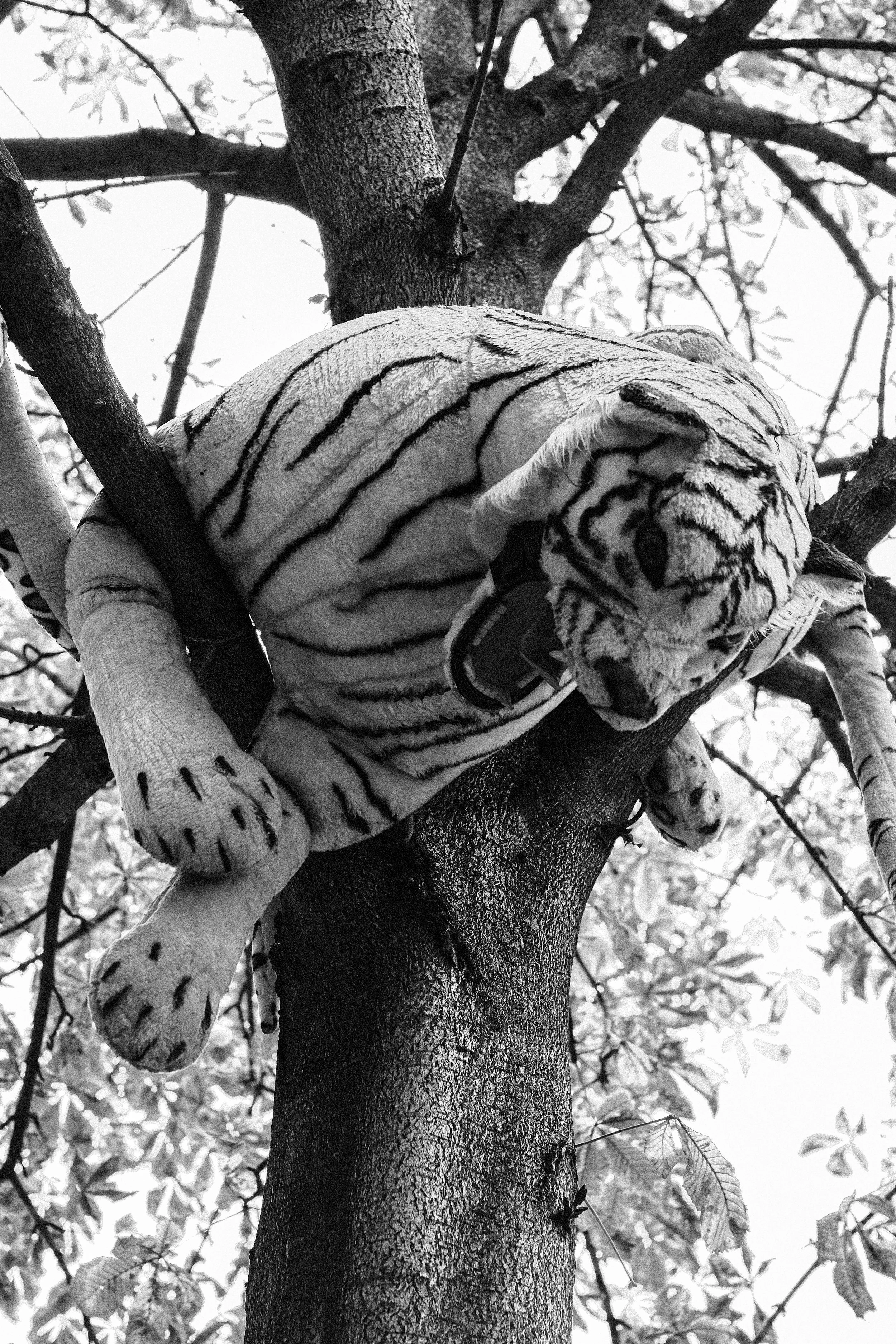 Black + White on Digital