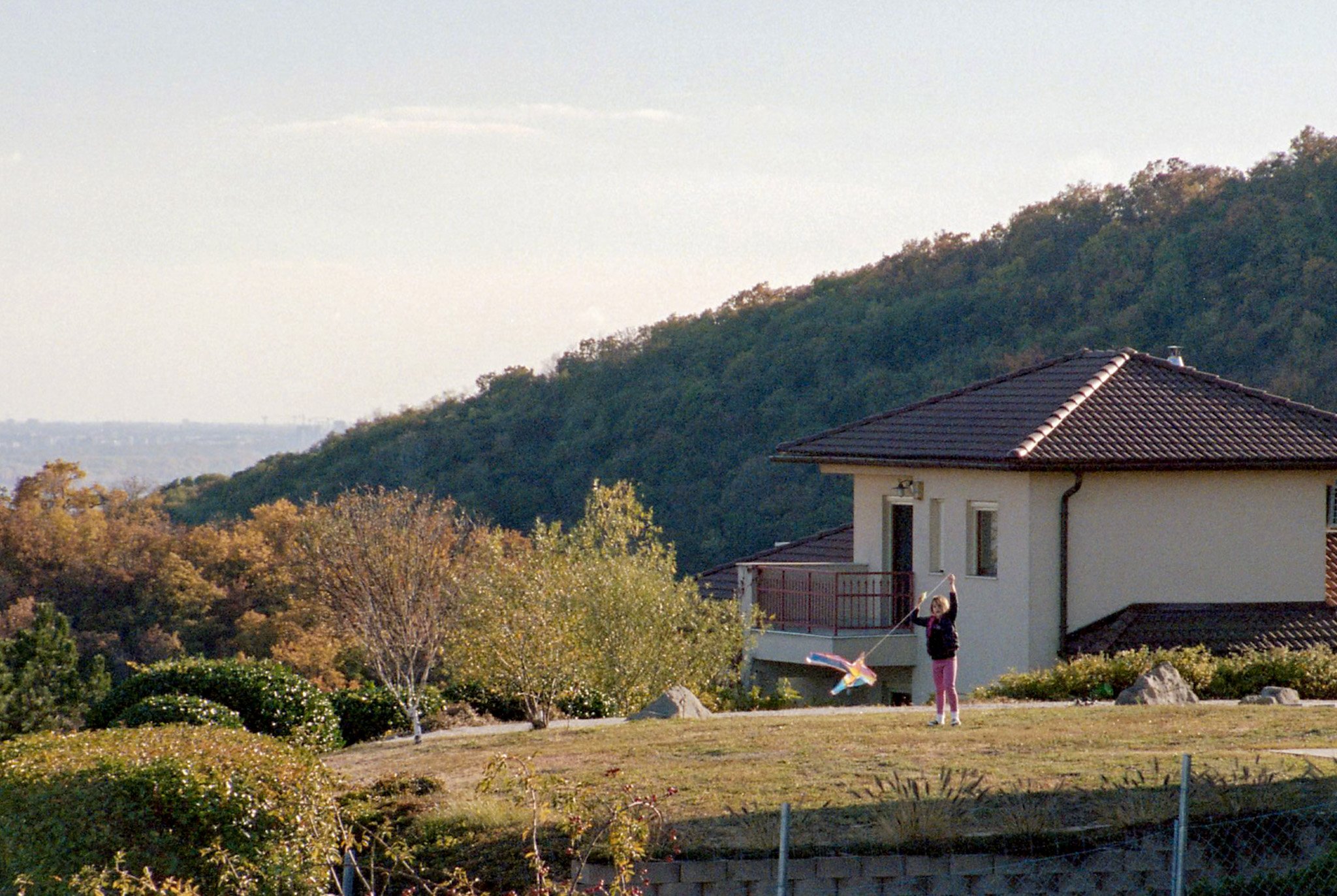 251107 Nemeth 6176 021.jpg