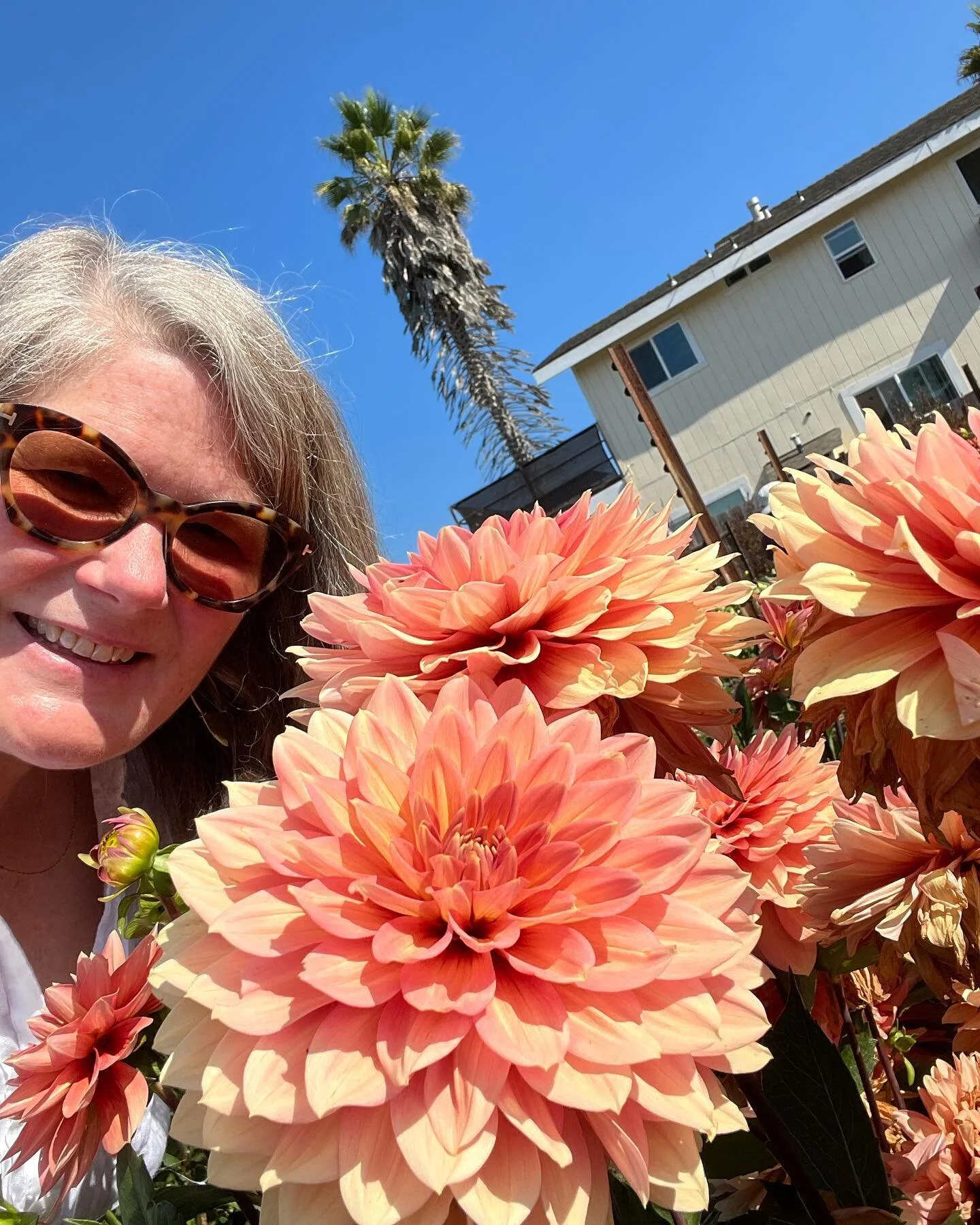 This week I took an adventure to @vallejostdahlias and tiptoed through the beautiful varieties of dahlias in Watsonville