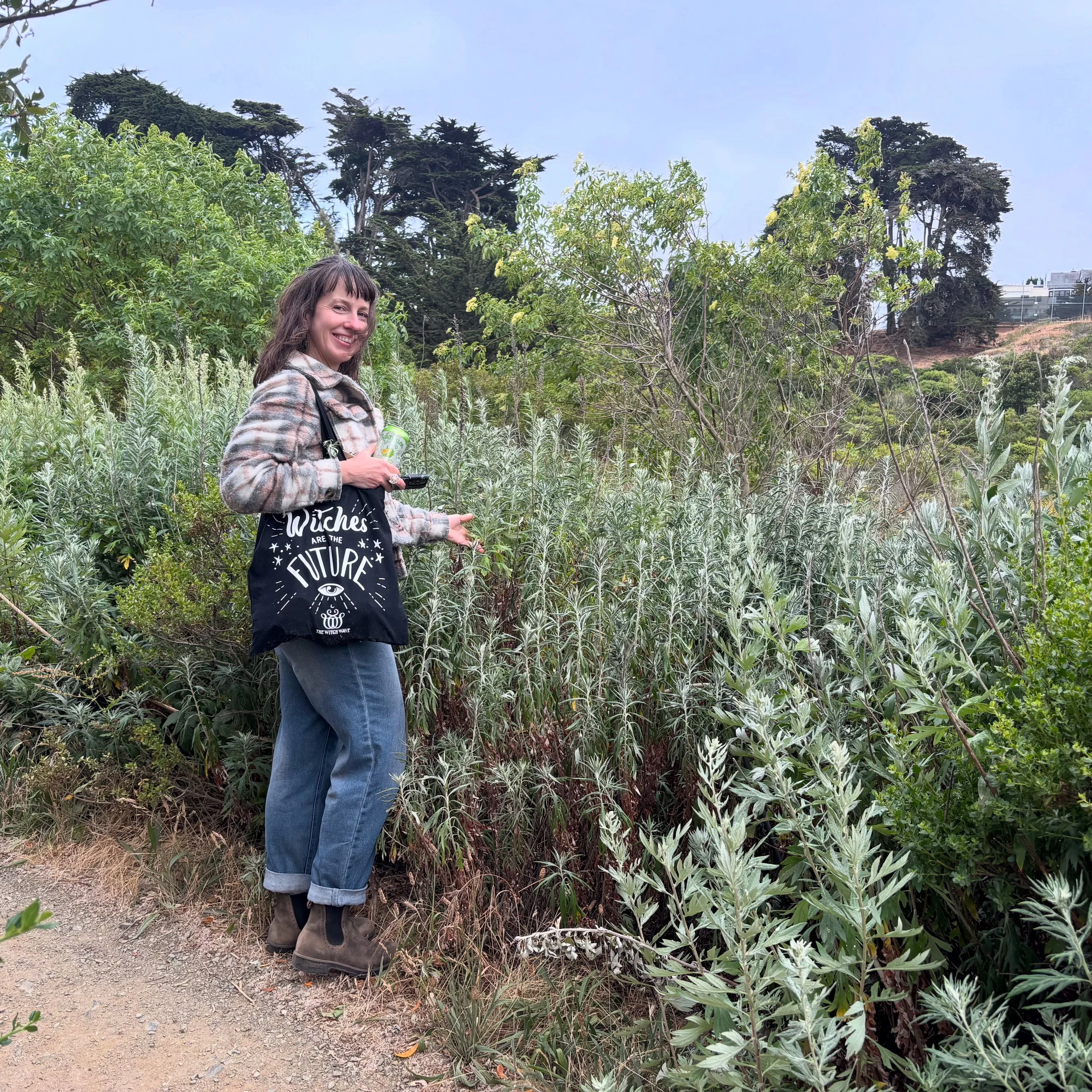 The Magic of Mugwort and Pine - Plant Walk in San Francisco’s Presidio 