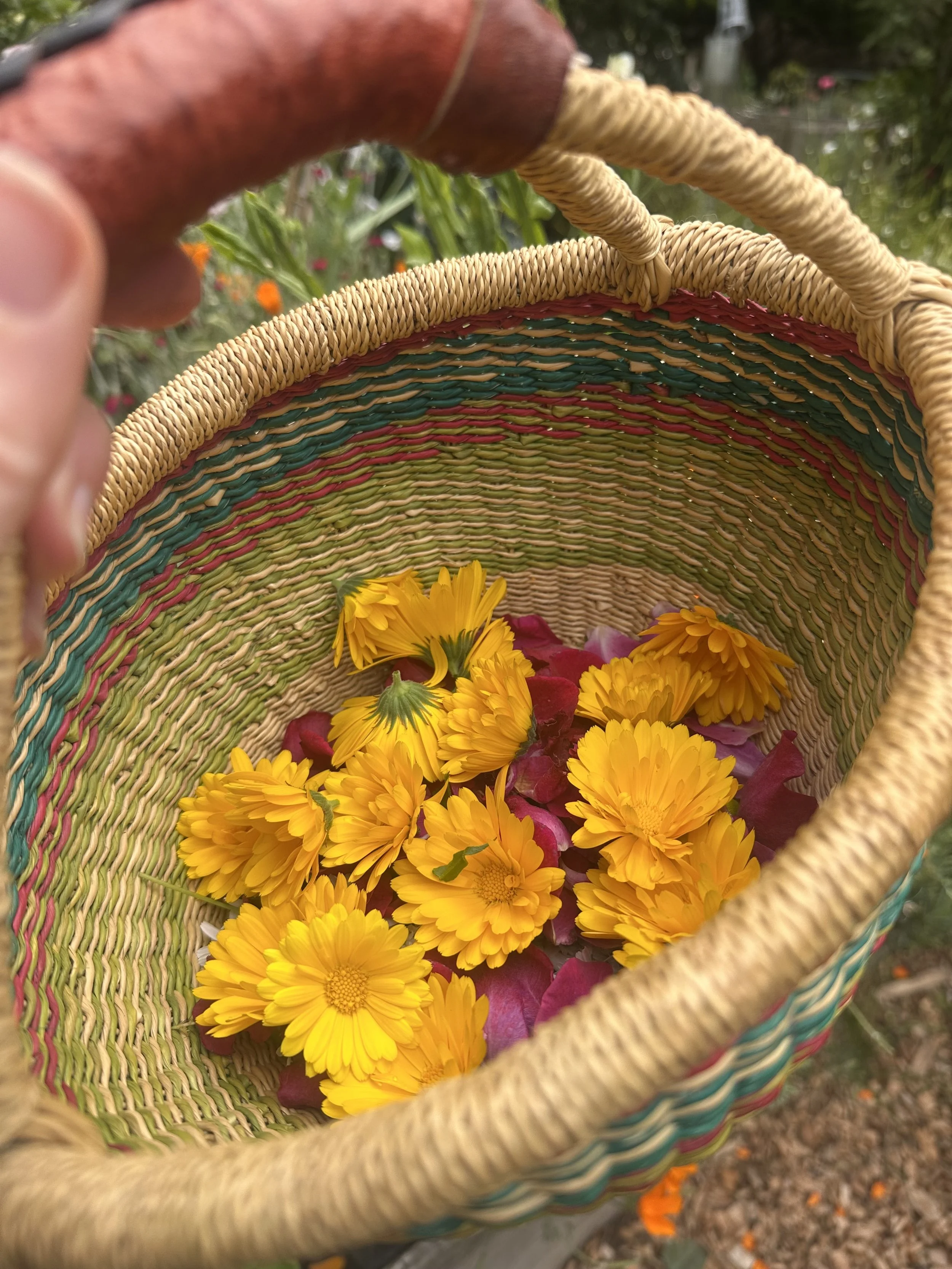 calendulabasket.jpg